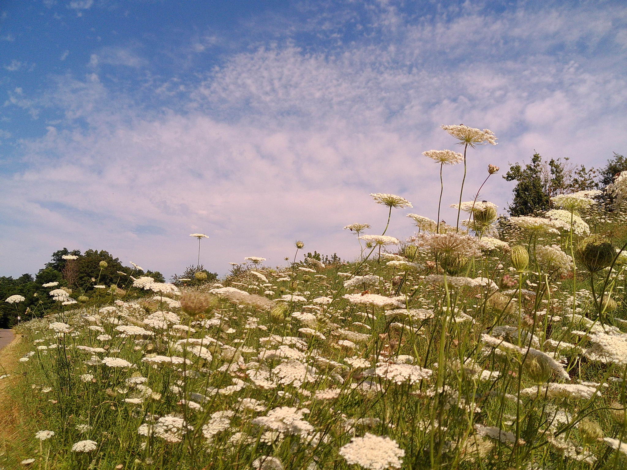 Dscf0098 53893228173 o