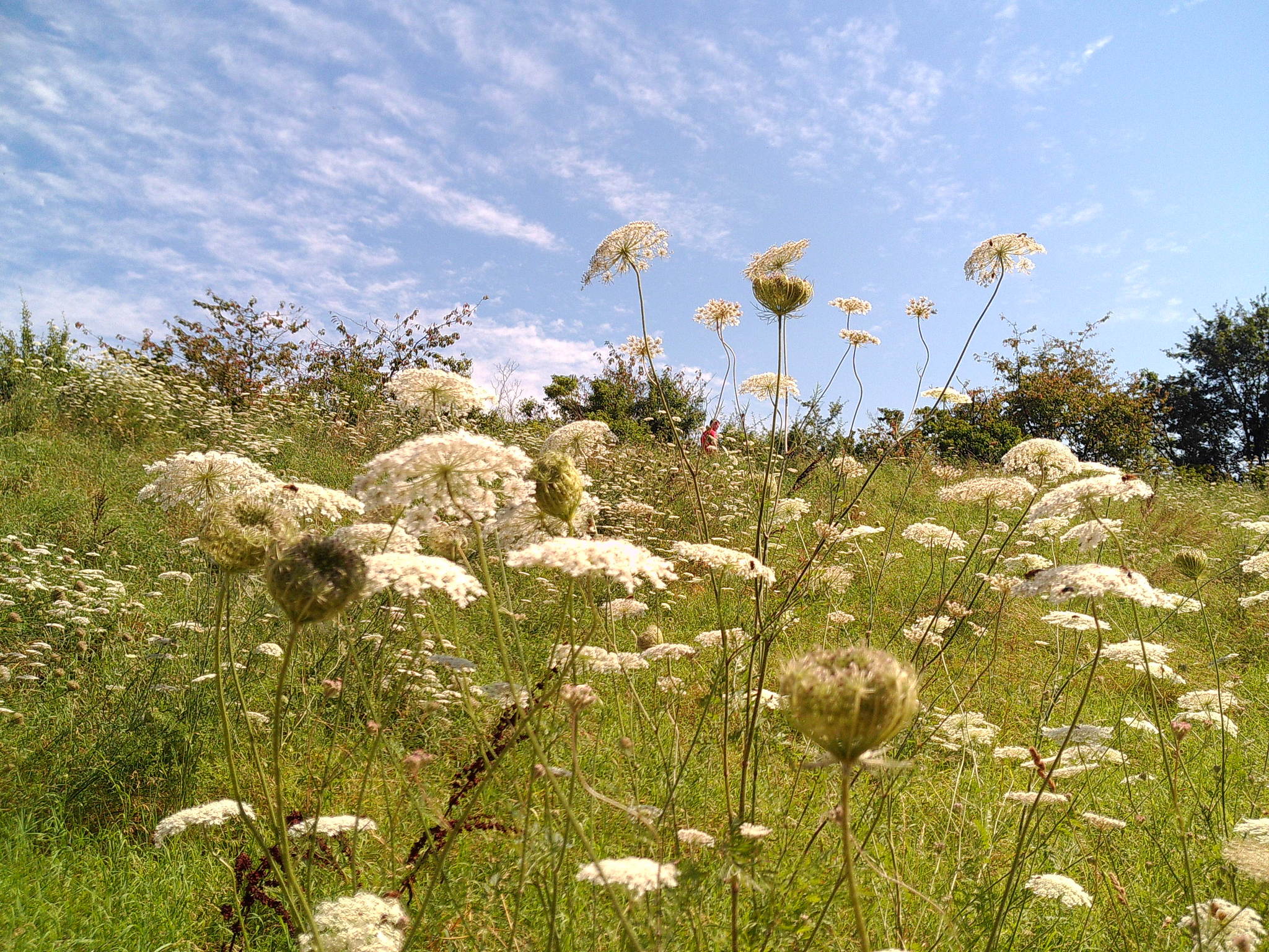 Dscf0099 53893228228 o