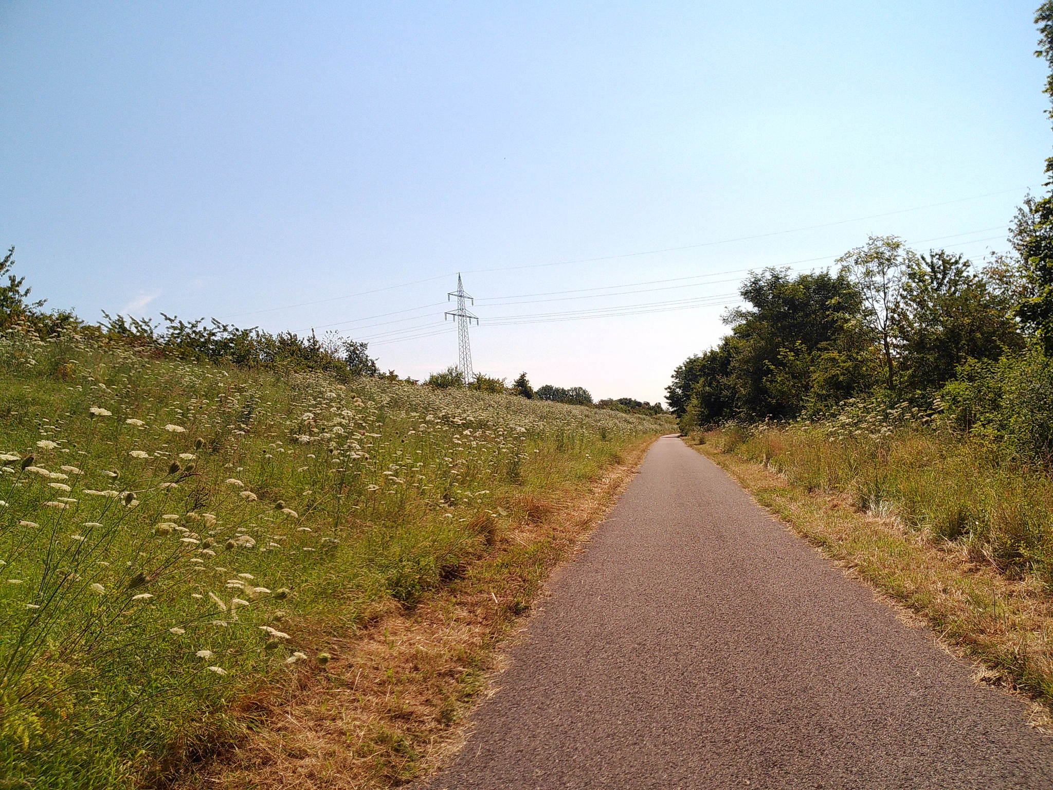 Dscf0101 53892070812 o 2