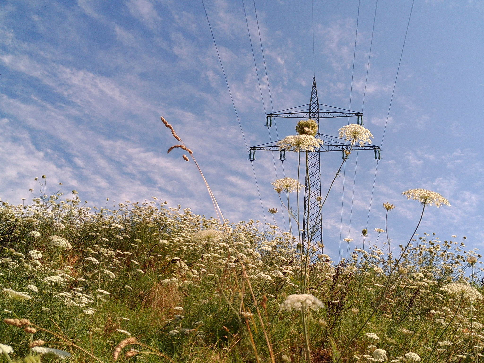 Dscf0106 53892991271 o