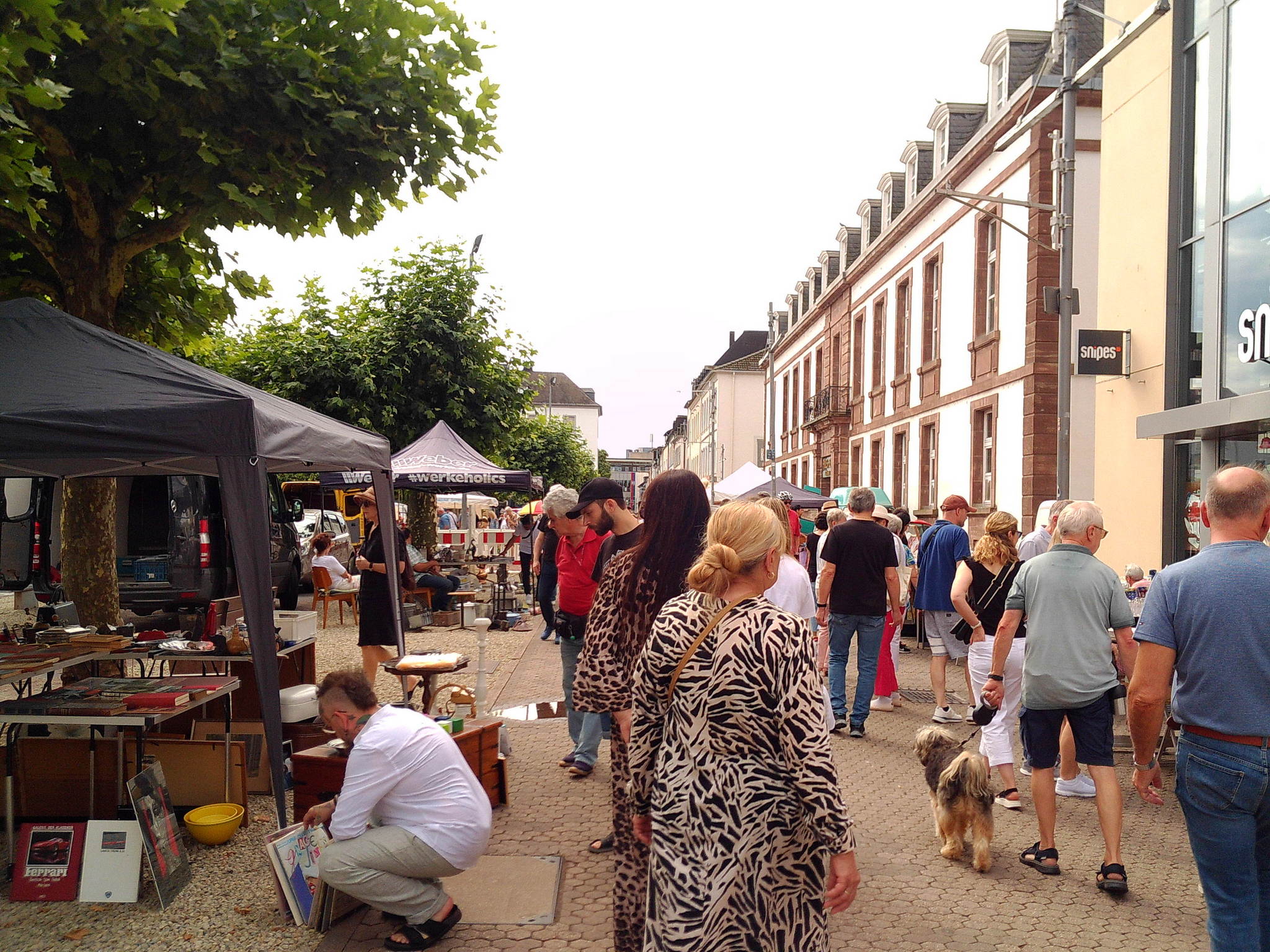 Dscf0142 53894269725 o