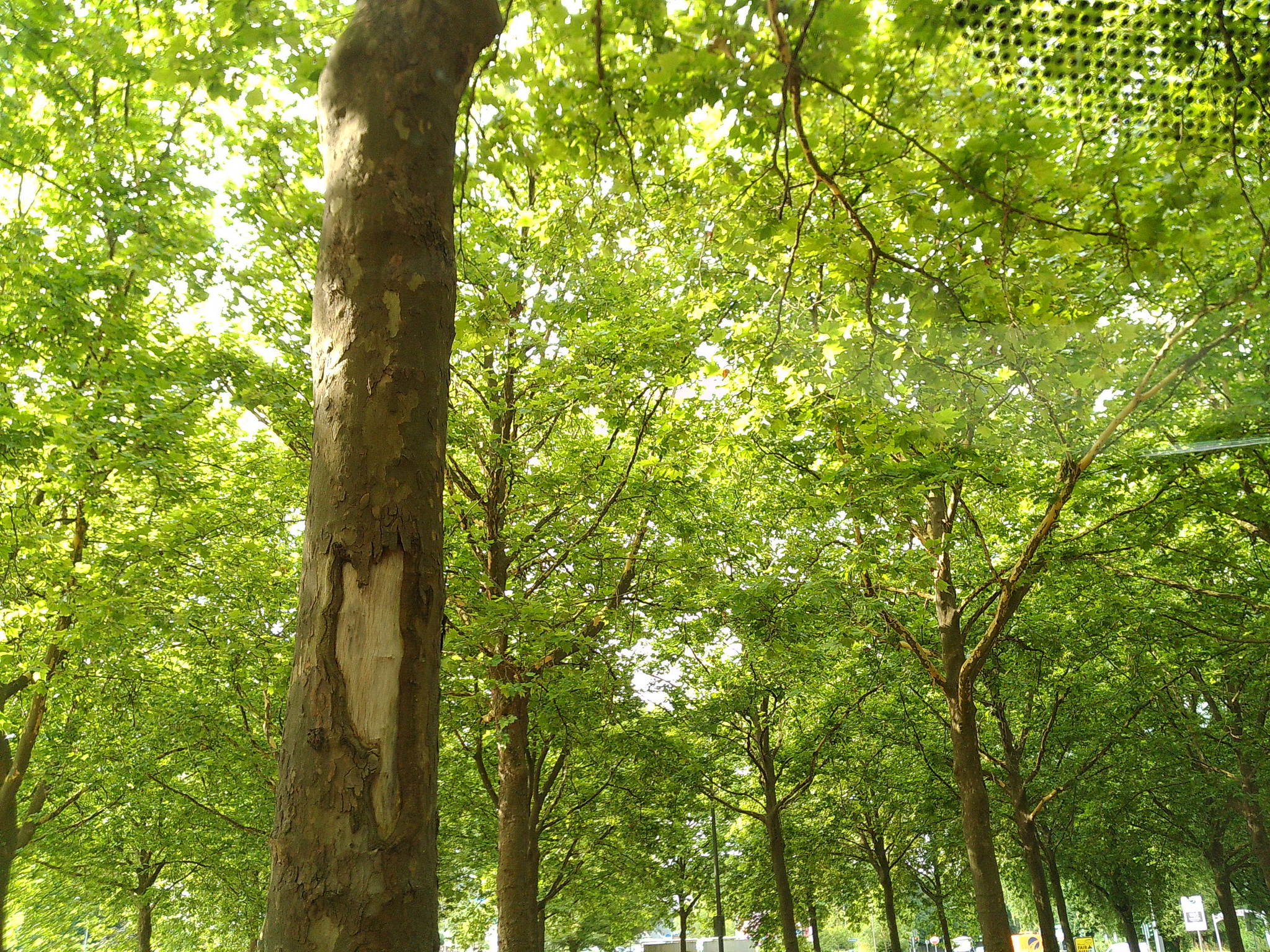 Dscf0158 53892992611 o