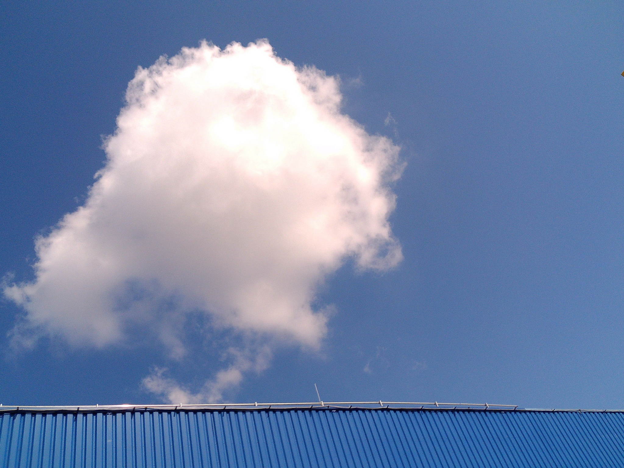 Dscf0251 53893347919 o 2