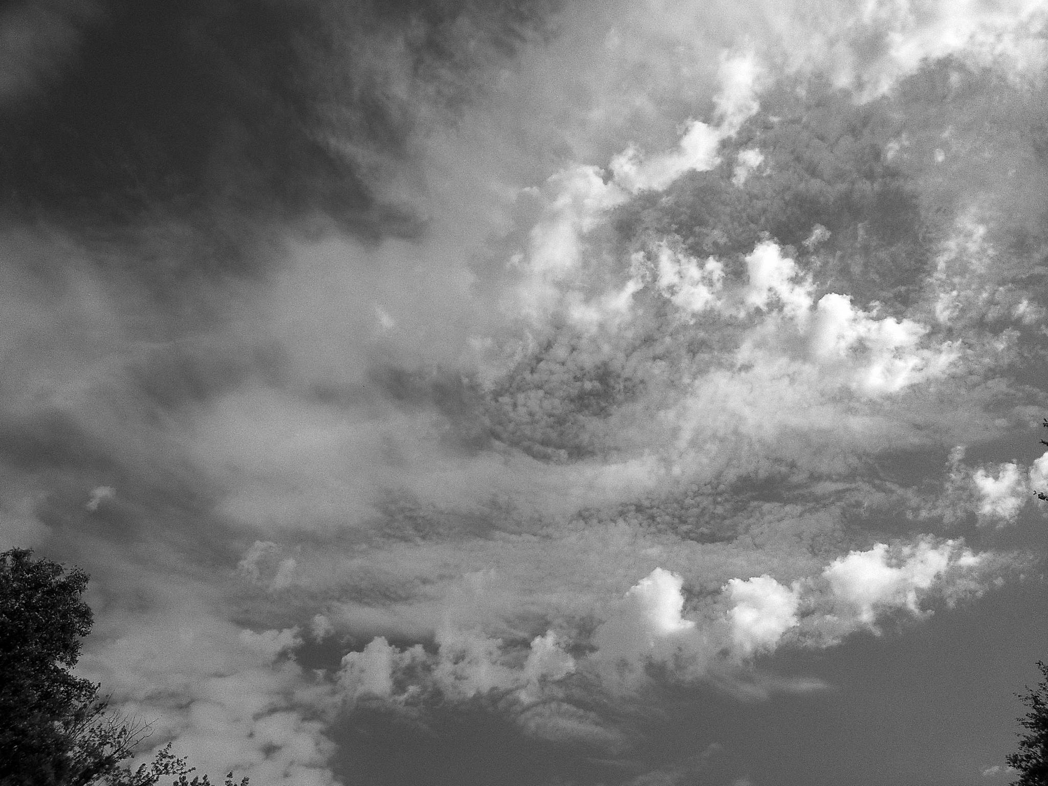 Dscf0294 53892988972 o