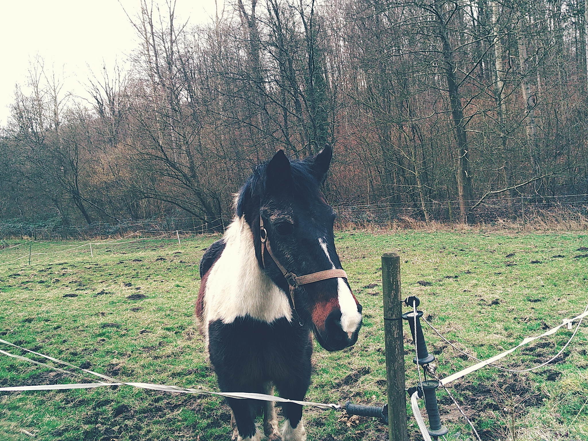 Dscf1881 54357388102 o