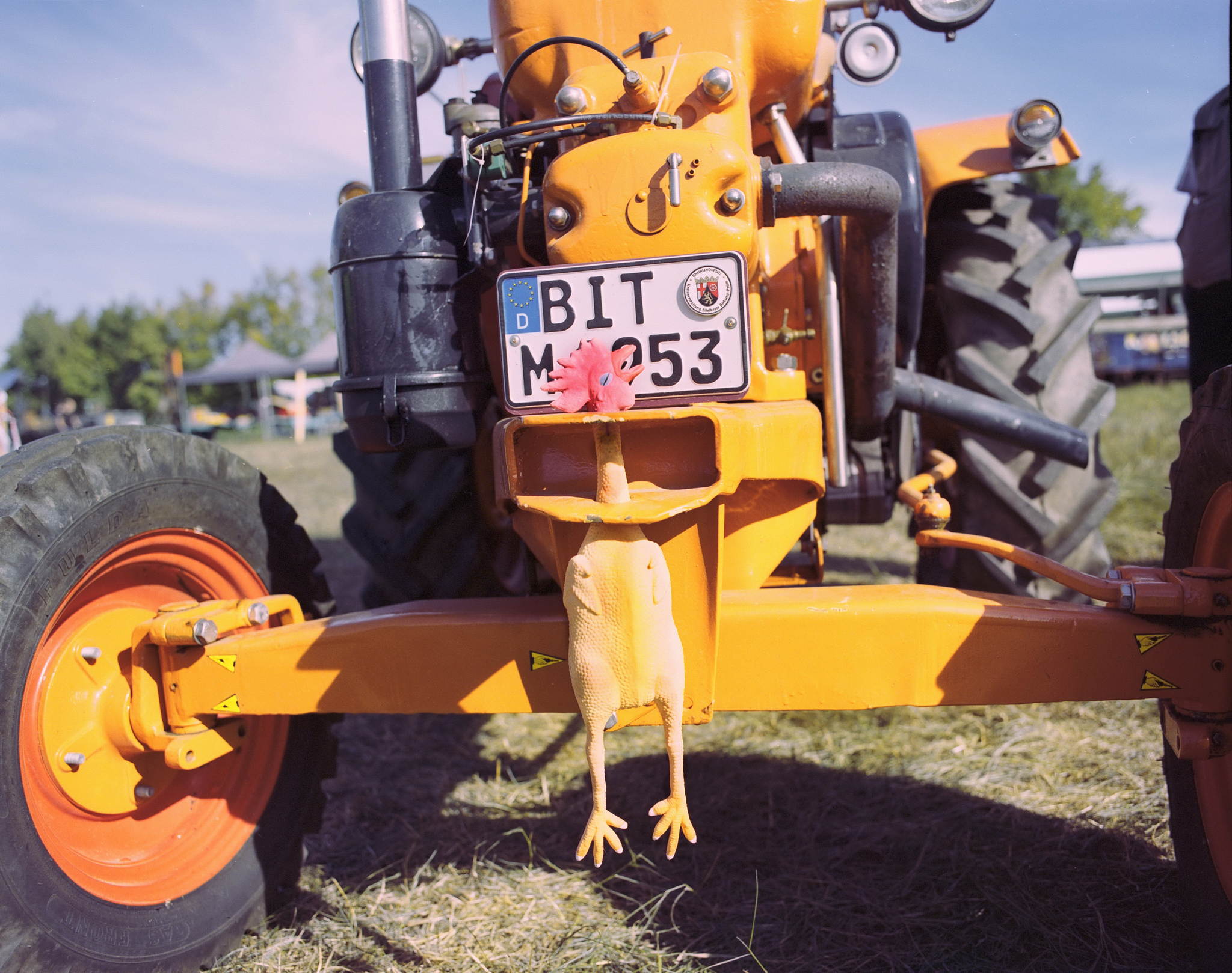 2018 09 09 pentax 67 50mm portra400  28 42789745710 o