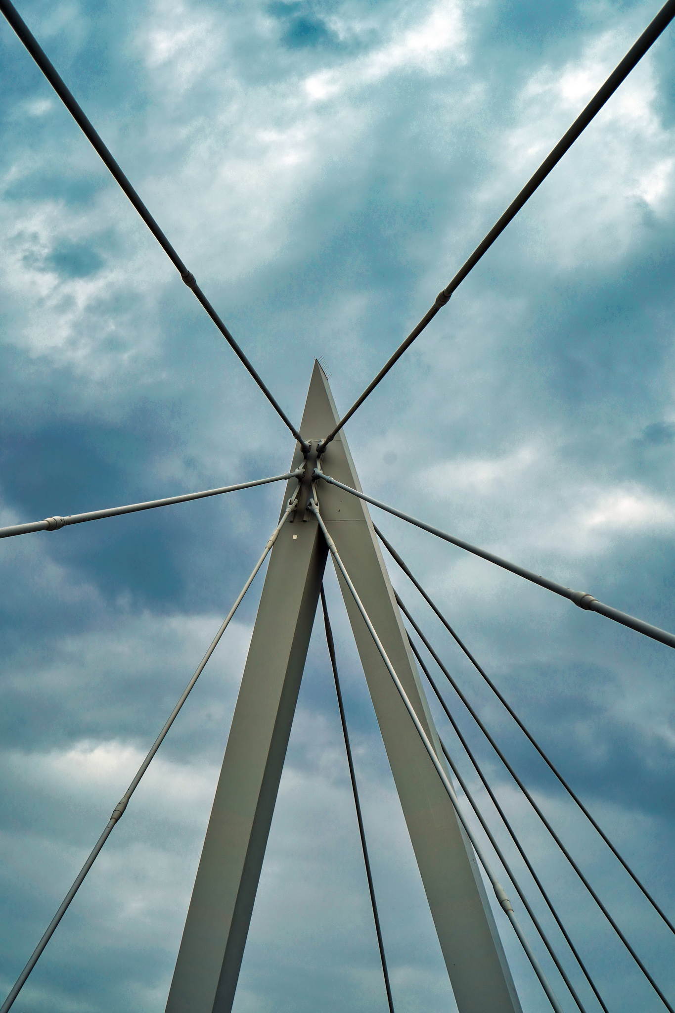 Spider 50350232671 o