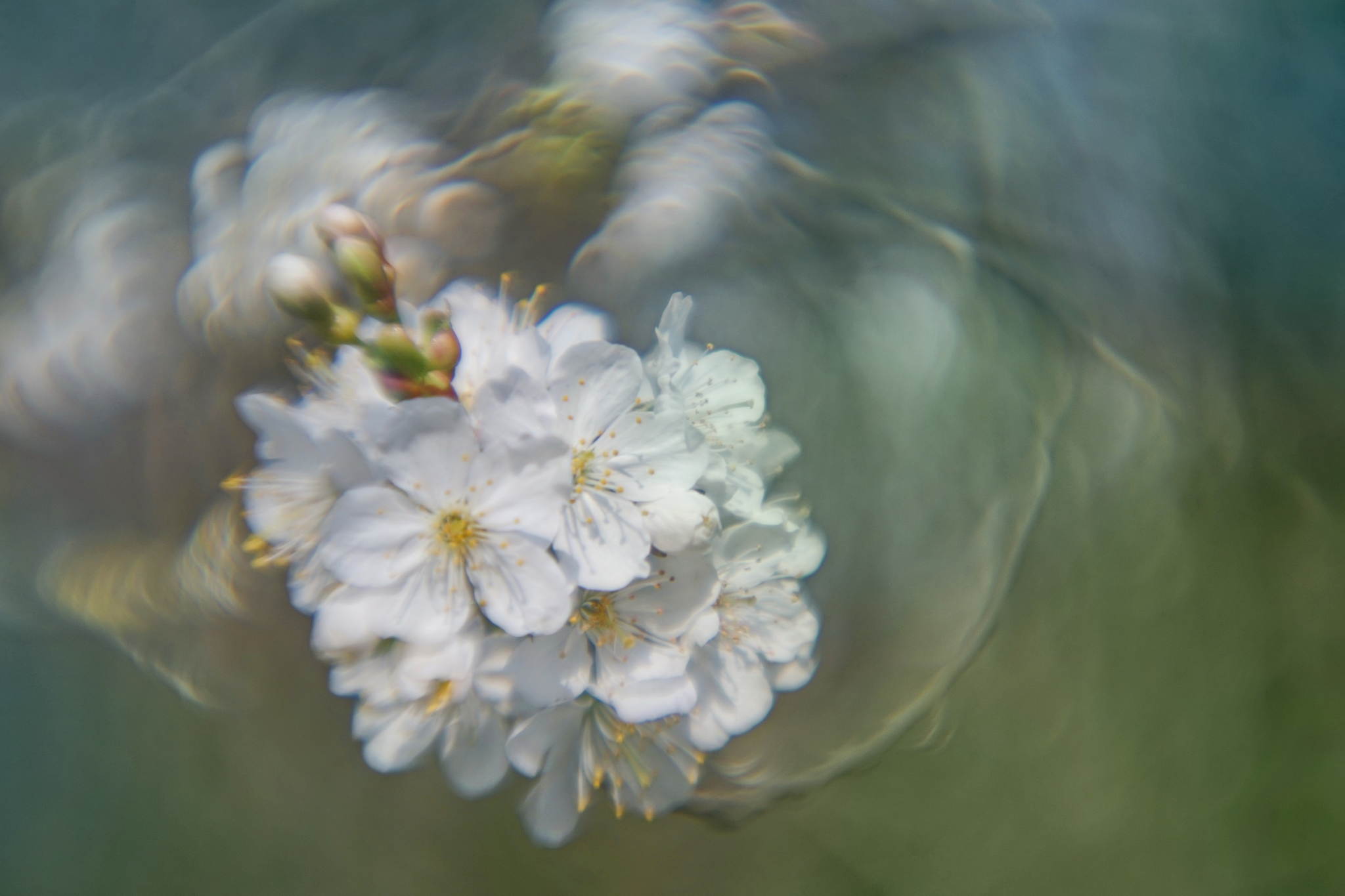 2017 04 02 konstruktor 63 33758826736 o