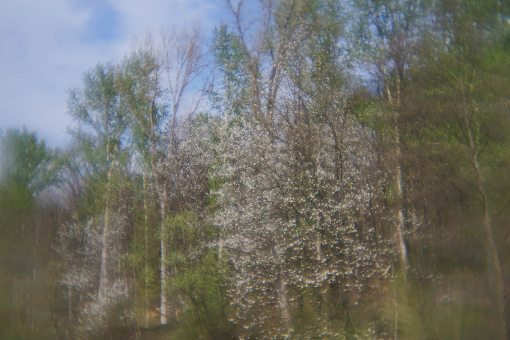 2017 04 02 konstruktor 64 32986432123 o