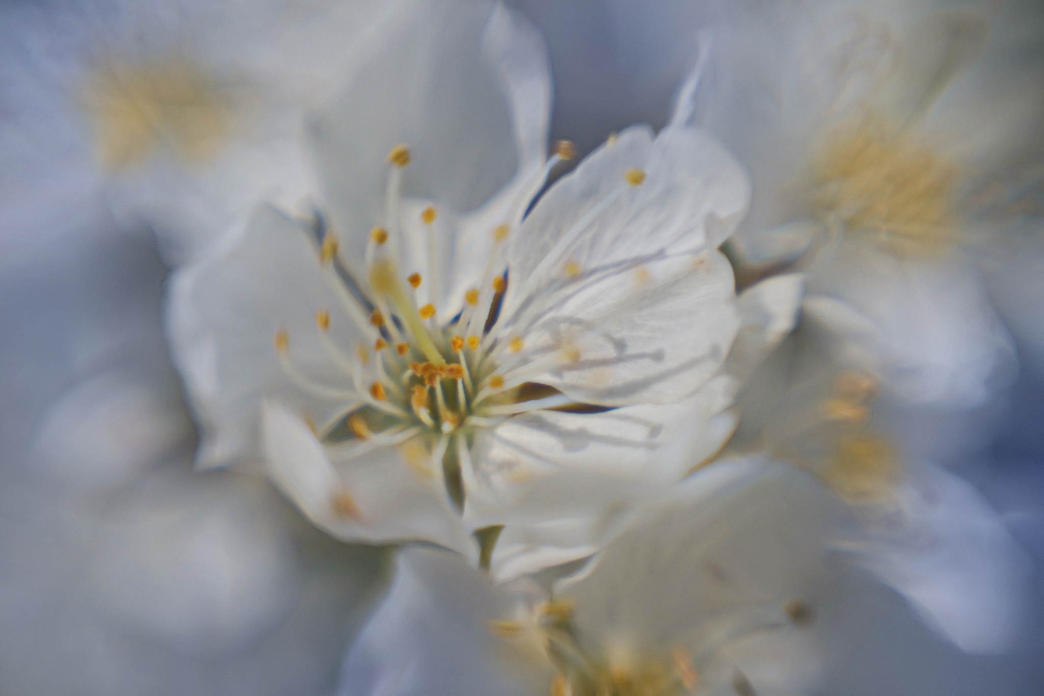 2017 04 02 konstruktor 65 33799447175 o