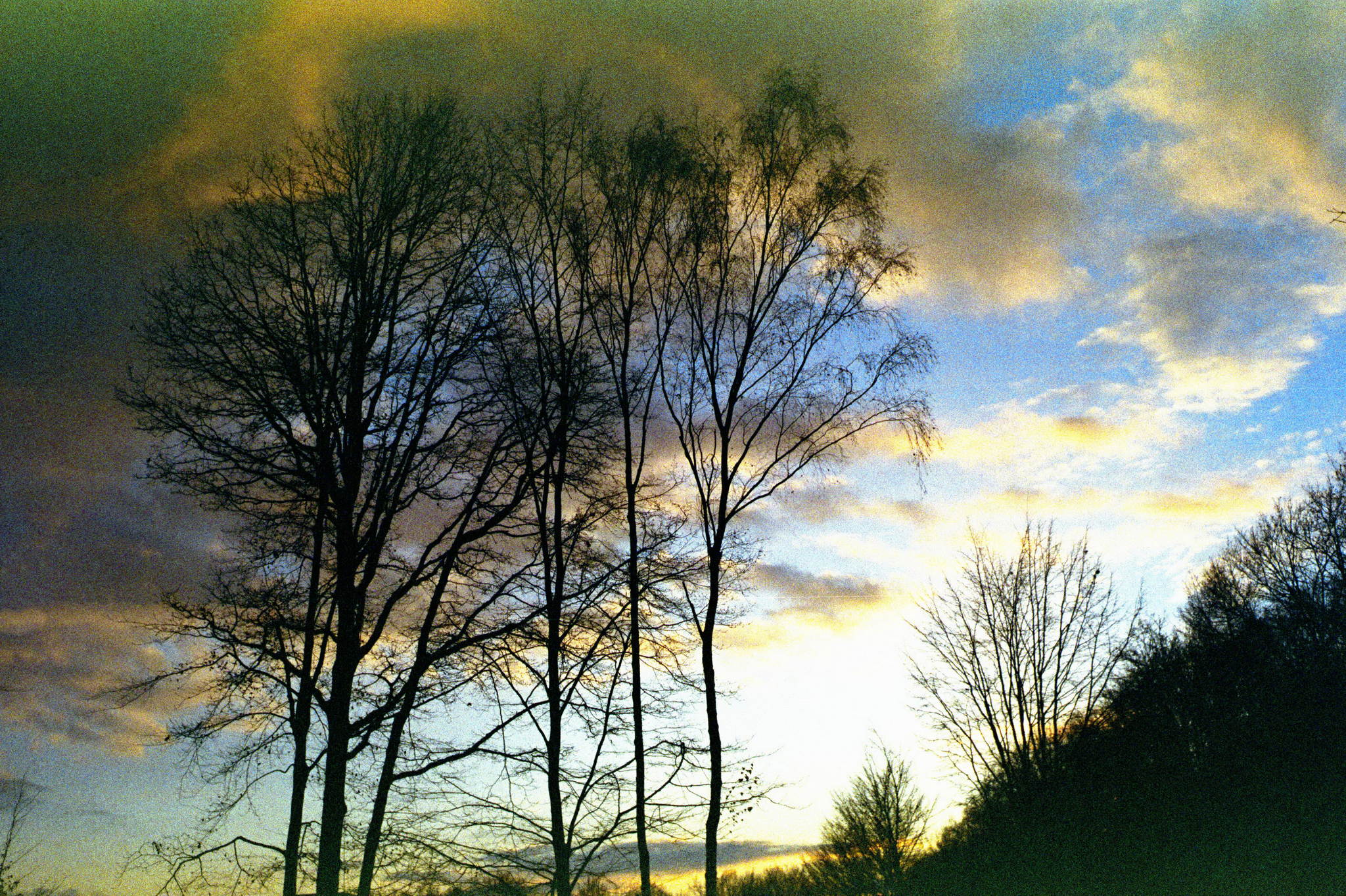 2017 12 01 minox35gt   11 23919990387 o