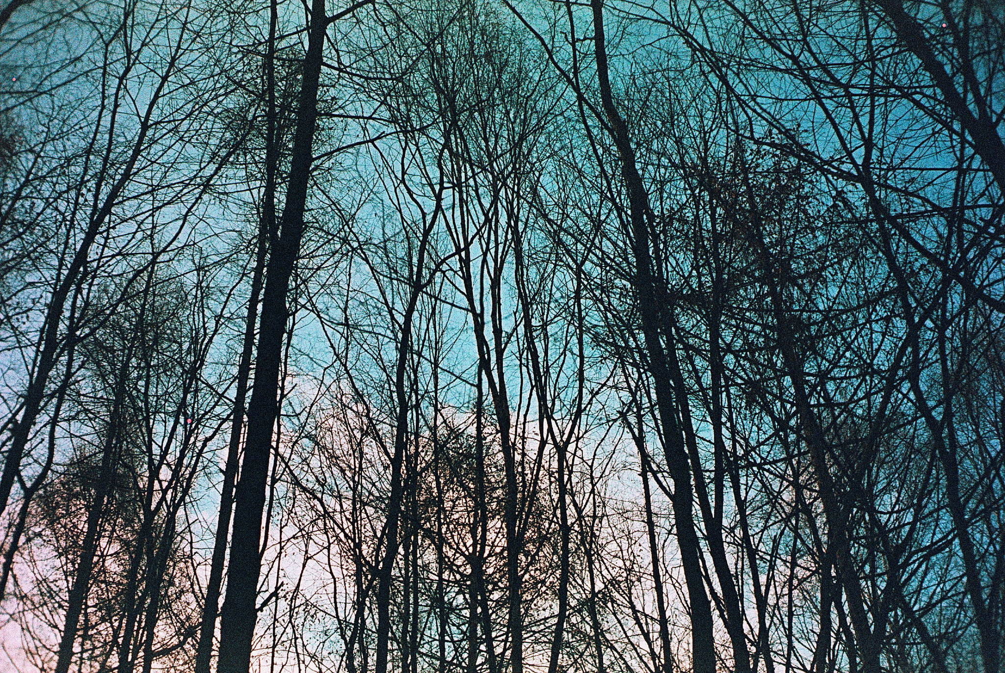 2019 02 20 leica cl 7artisans precisa cross 29 40198836203 o