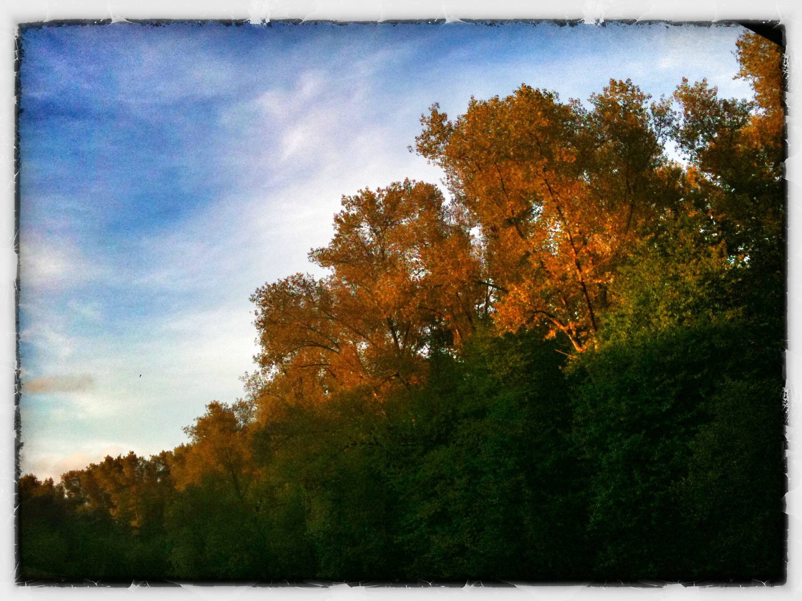 Abendsonne 6136719877 o