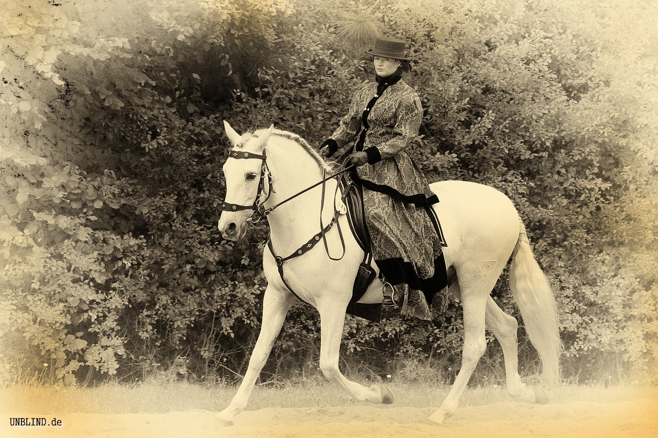 Barocke reiterin 6051883851 o