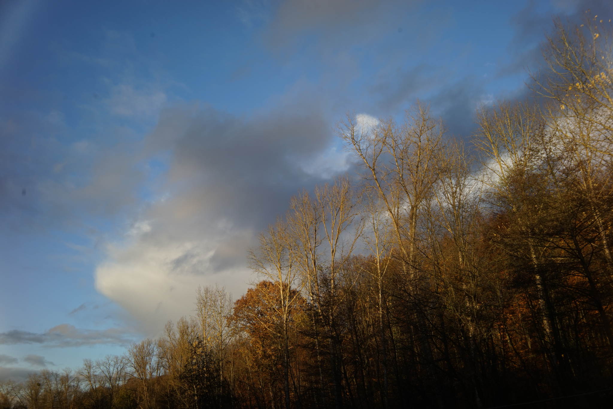 Dsc09076 30975542812 o