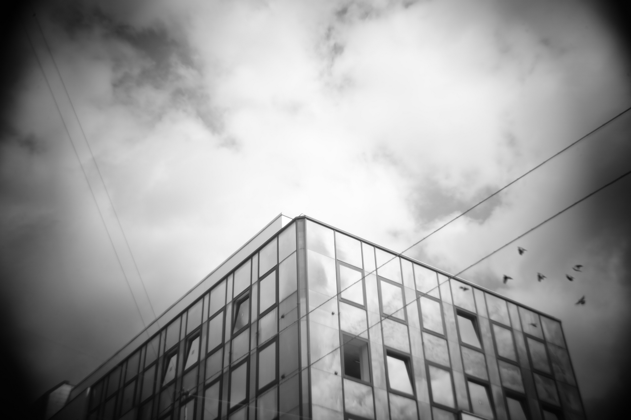 Flyaway 20065861196 o