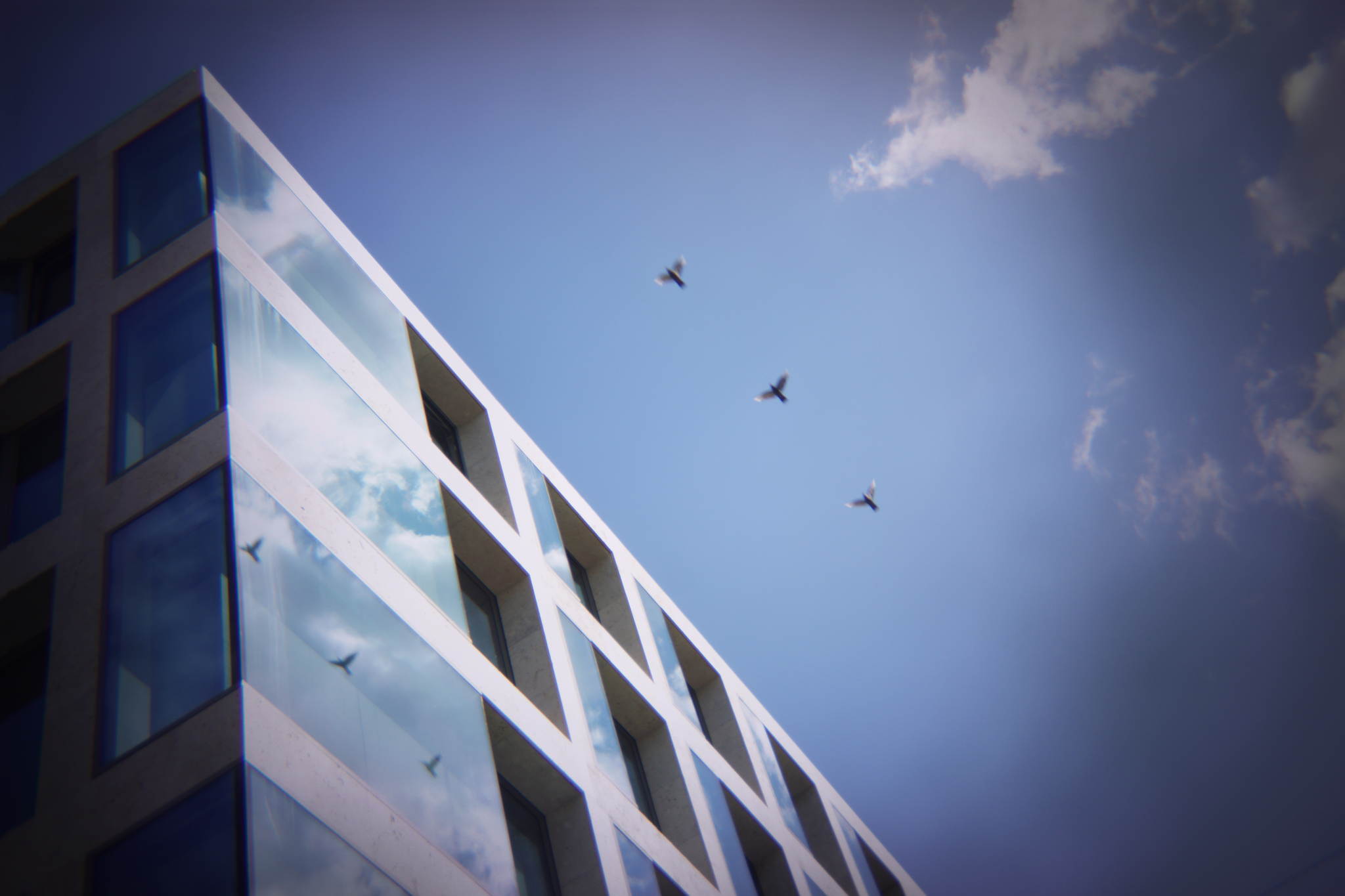 Formation 19518201974 o