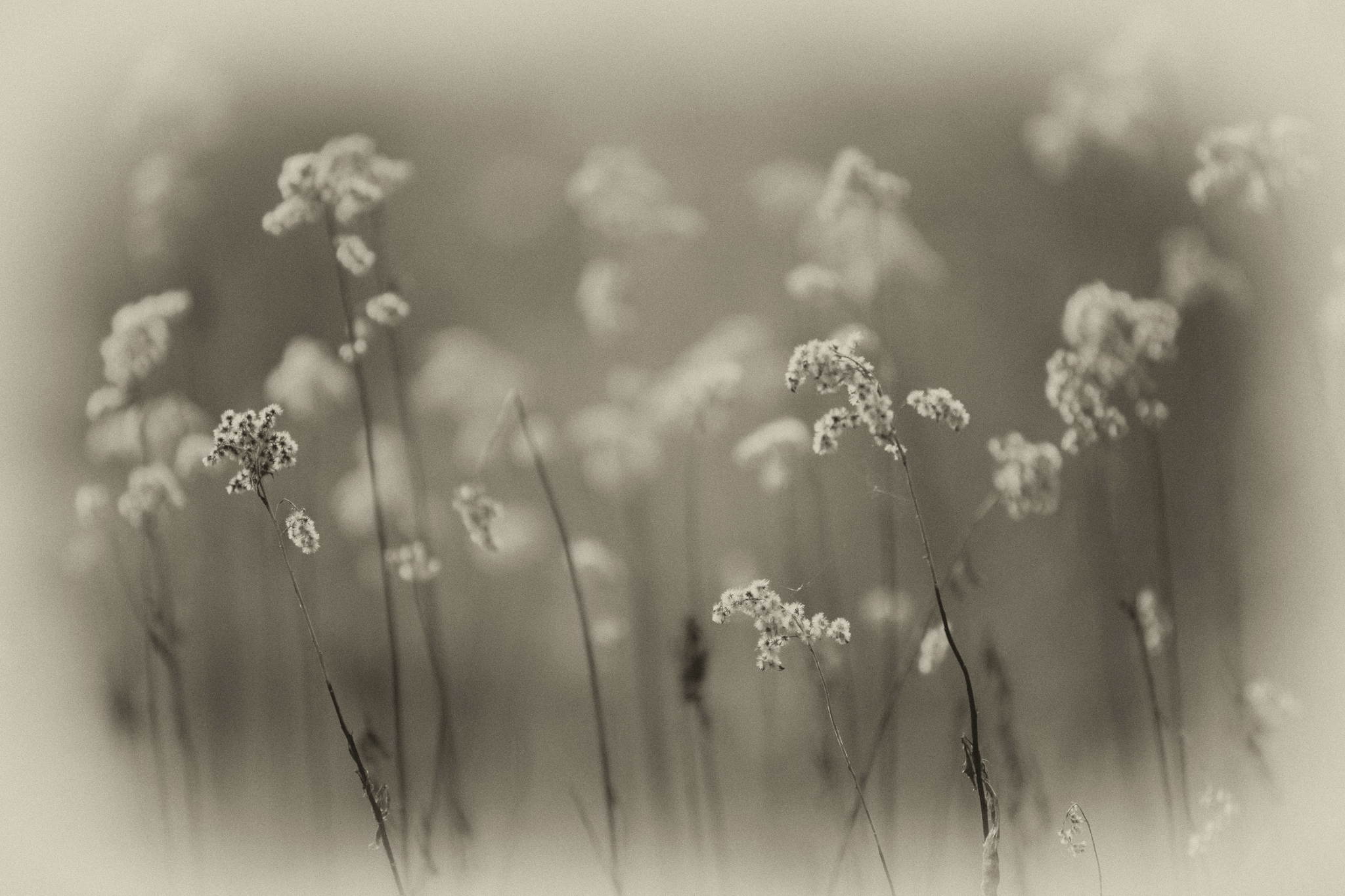 Geknickt 13915159820 o