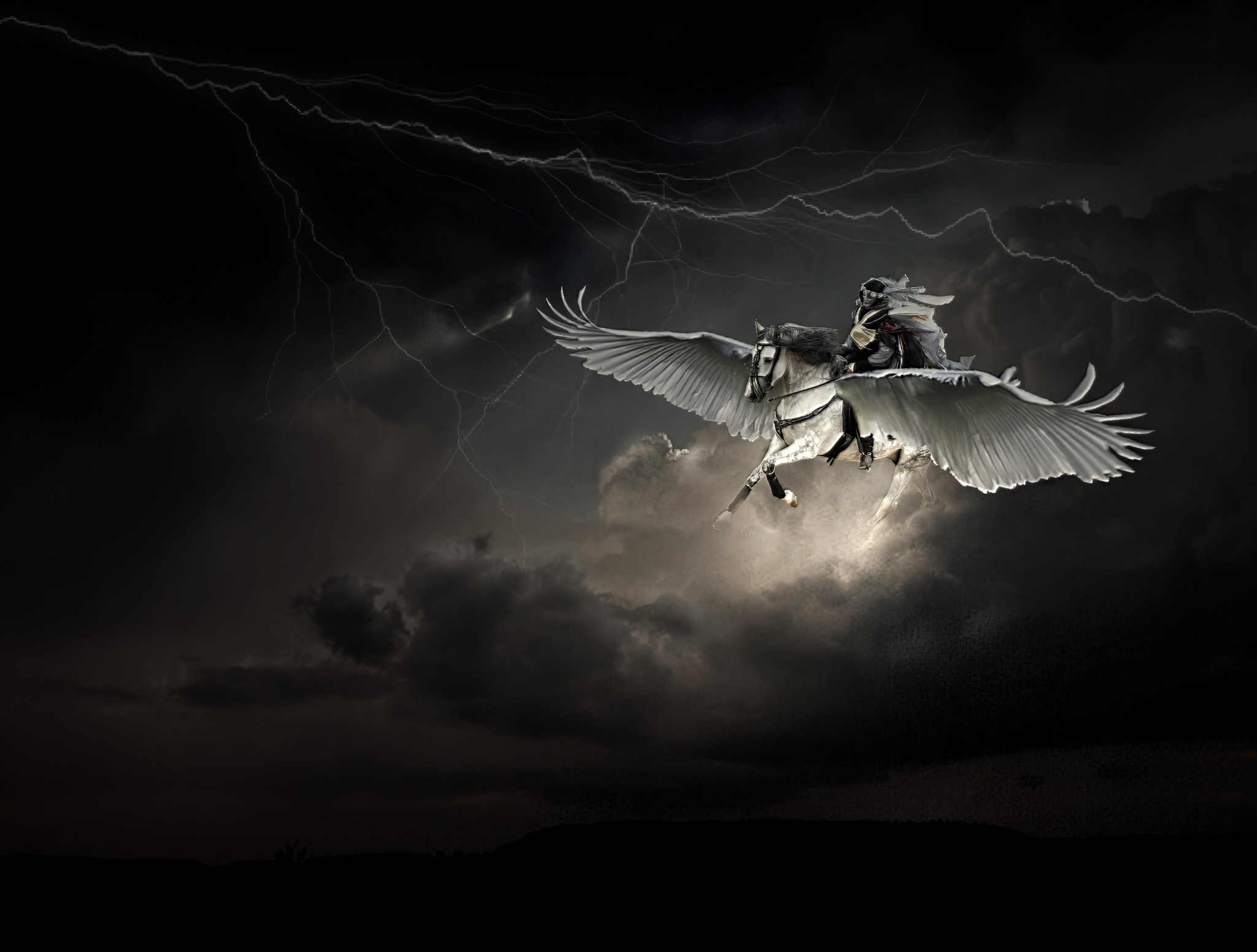 Pegasus 53107392559 o