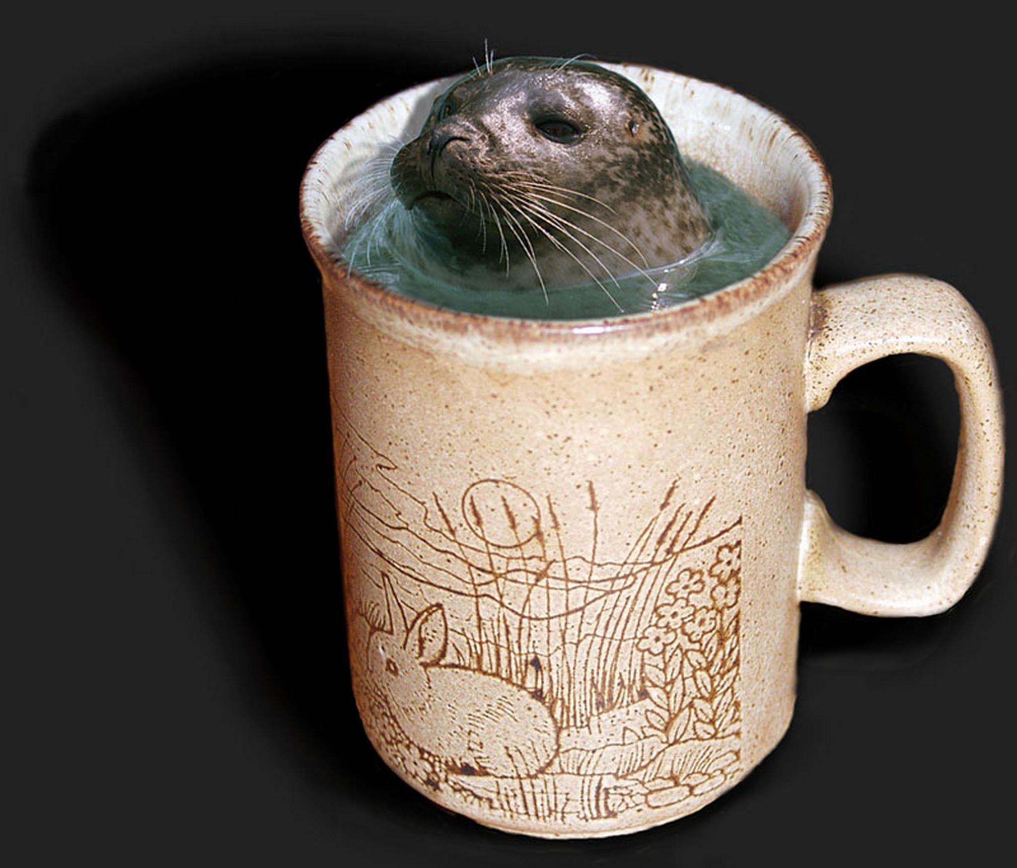 Seehundtasse 8185631327 o