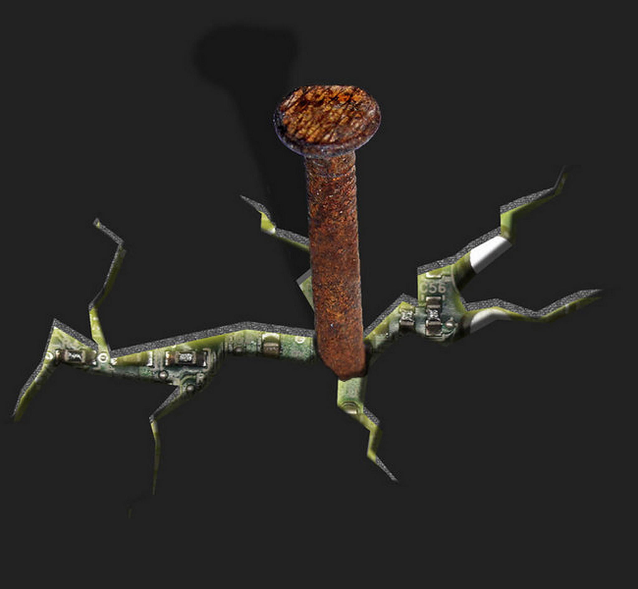 So das habt ihr davon 6011619542 o