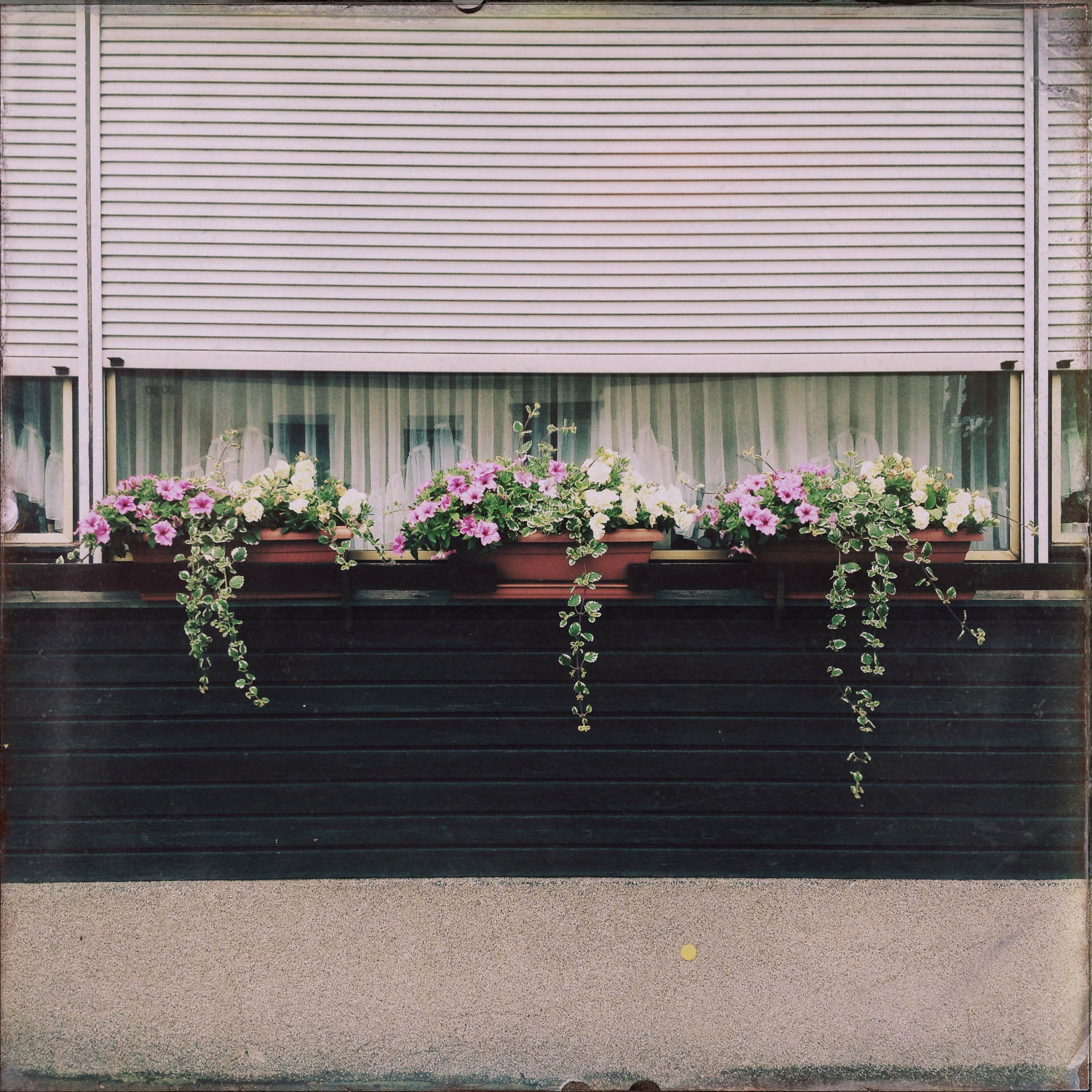 14614103255 4ff5e69202 o