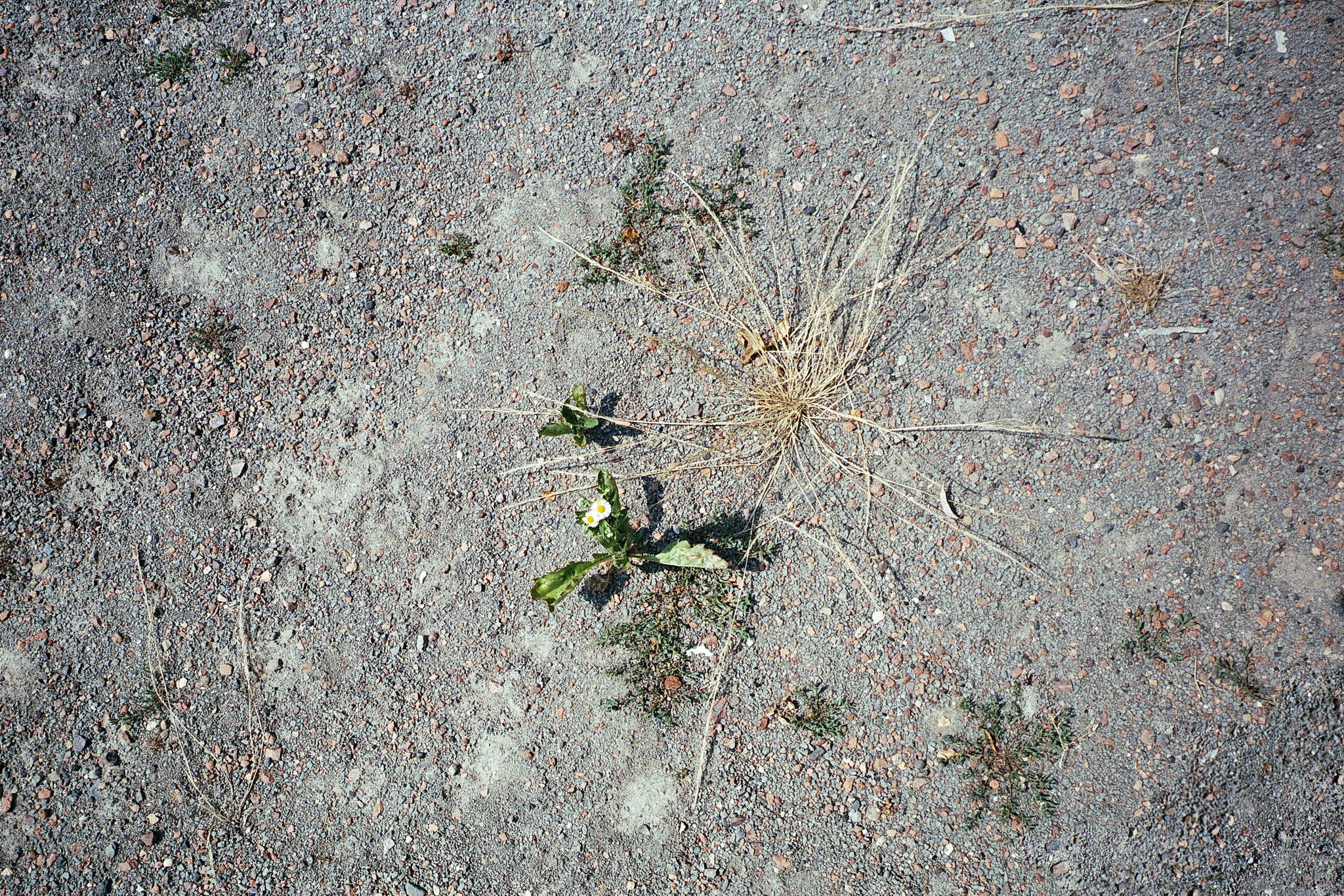 2018 07 15 cle orion 15 22 43383169172 o