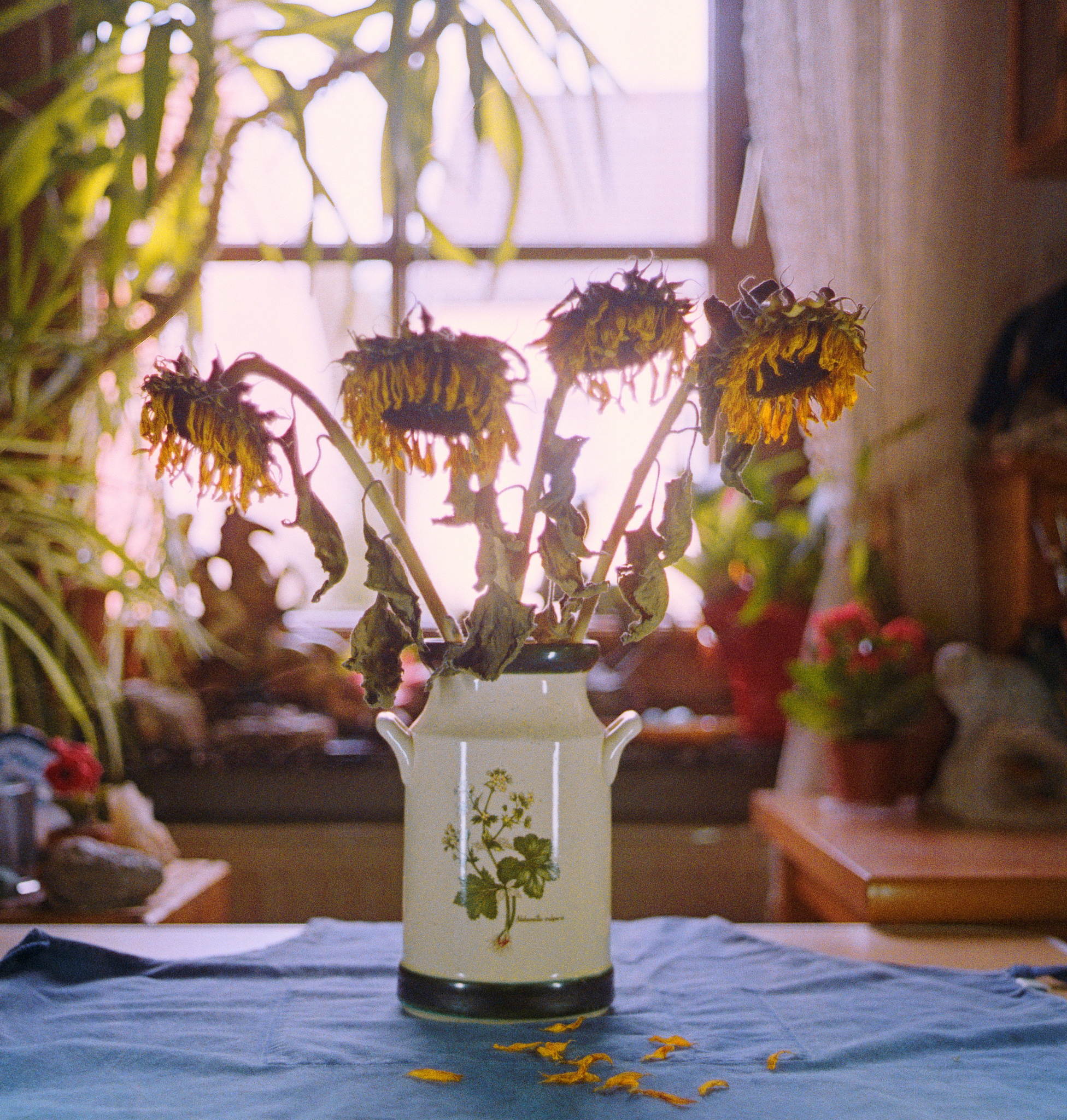 2018 08 24  14 29328338257 o