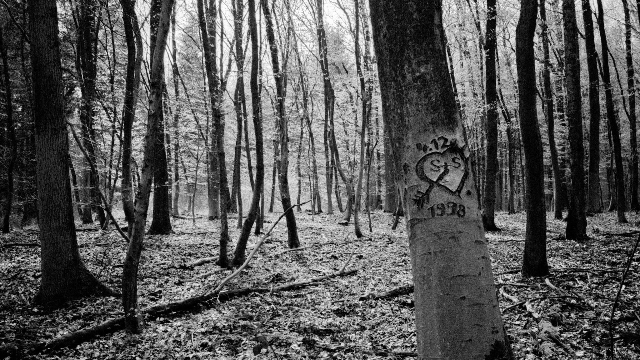 2019 05 01 lomo lca trix400 47747289391 o