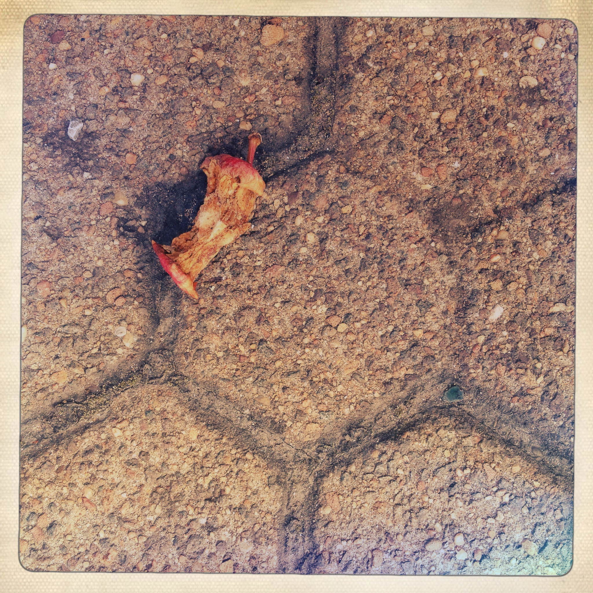 Bbelkrotze 14978847495 o