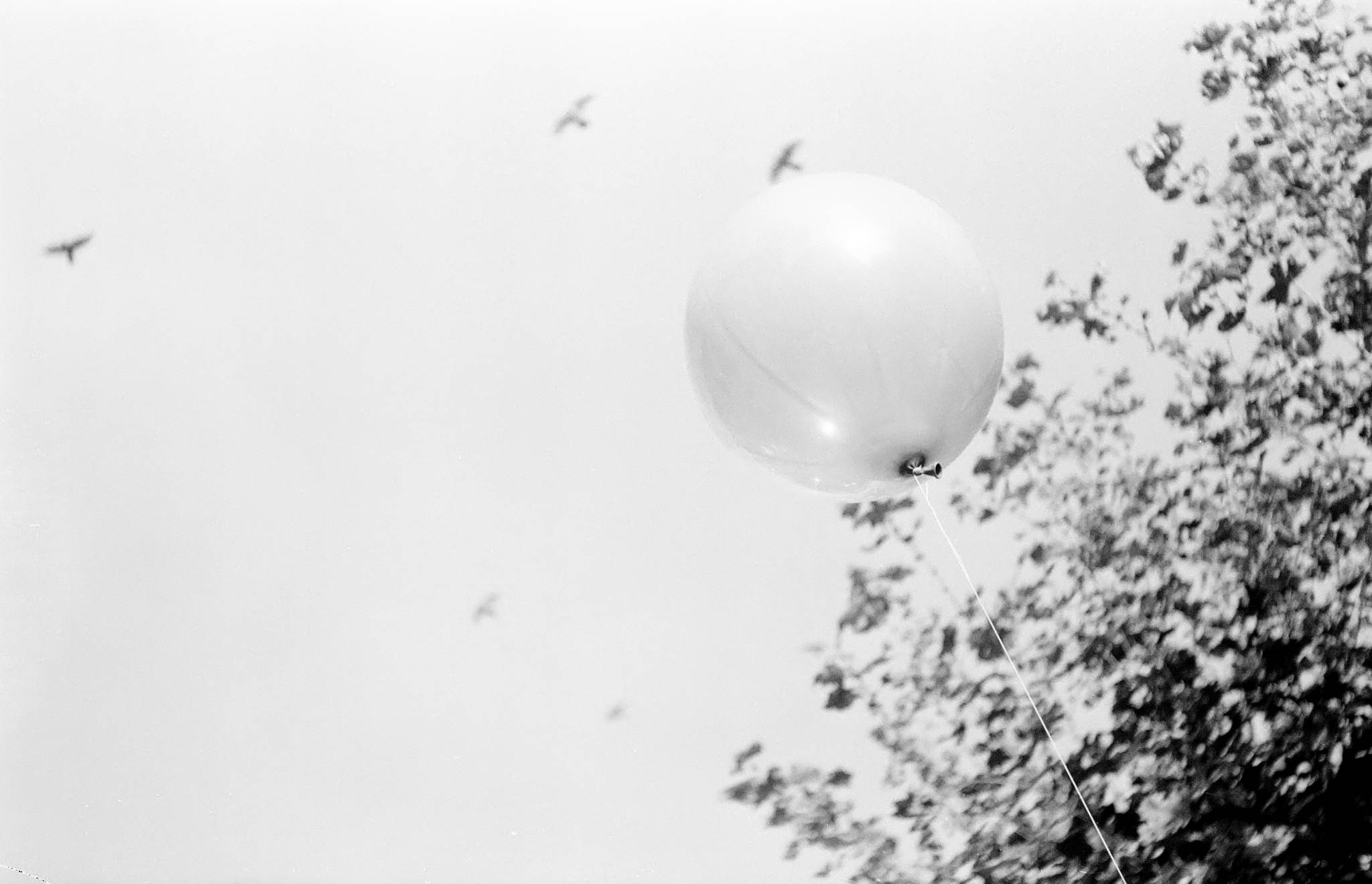 Gerne wre ich mitgeflogen 37712924596 o