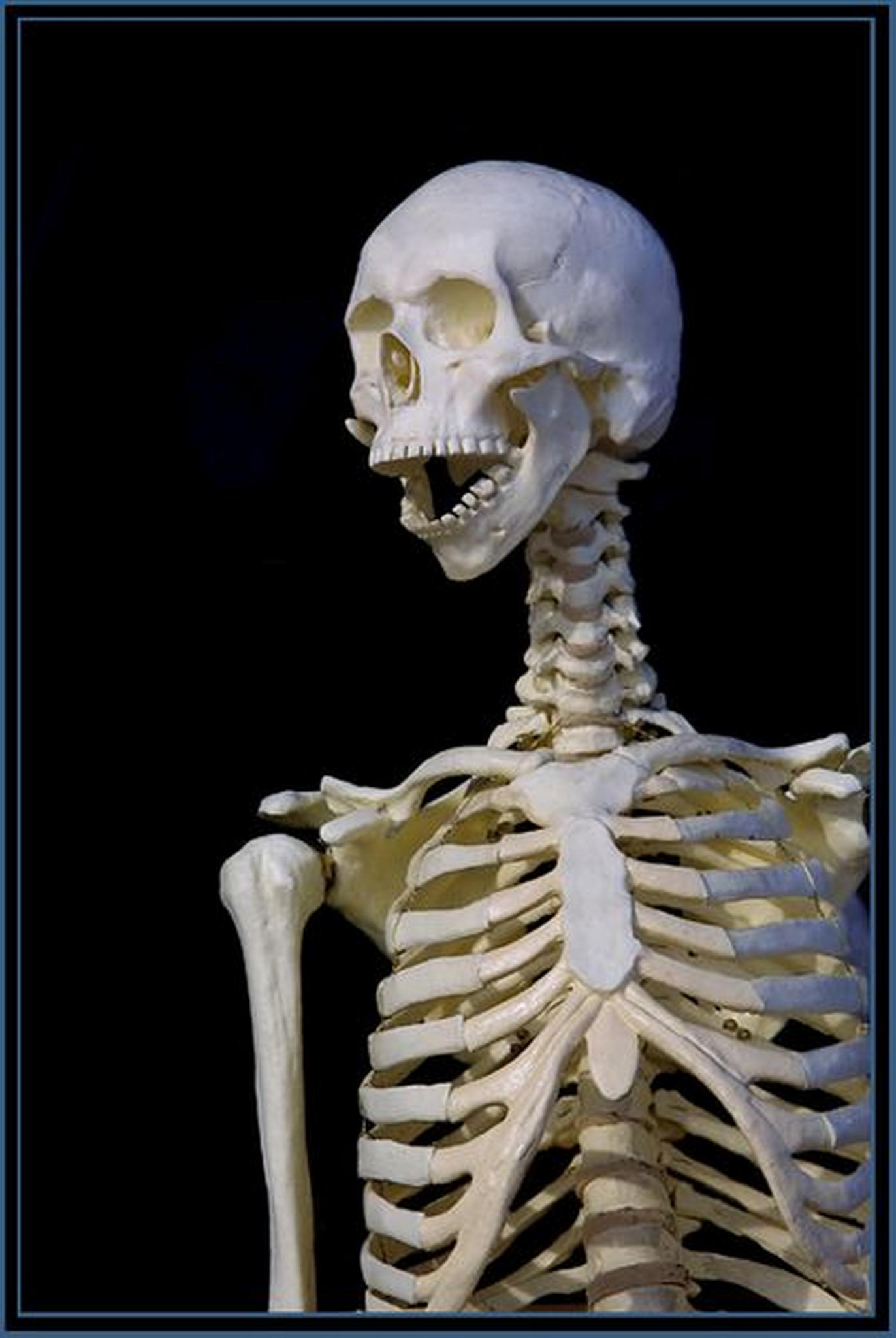 Ich bin fr die gesundheitsreform 6013694116 o