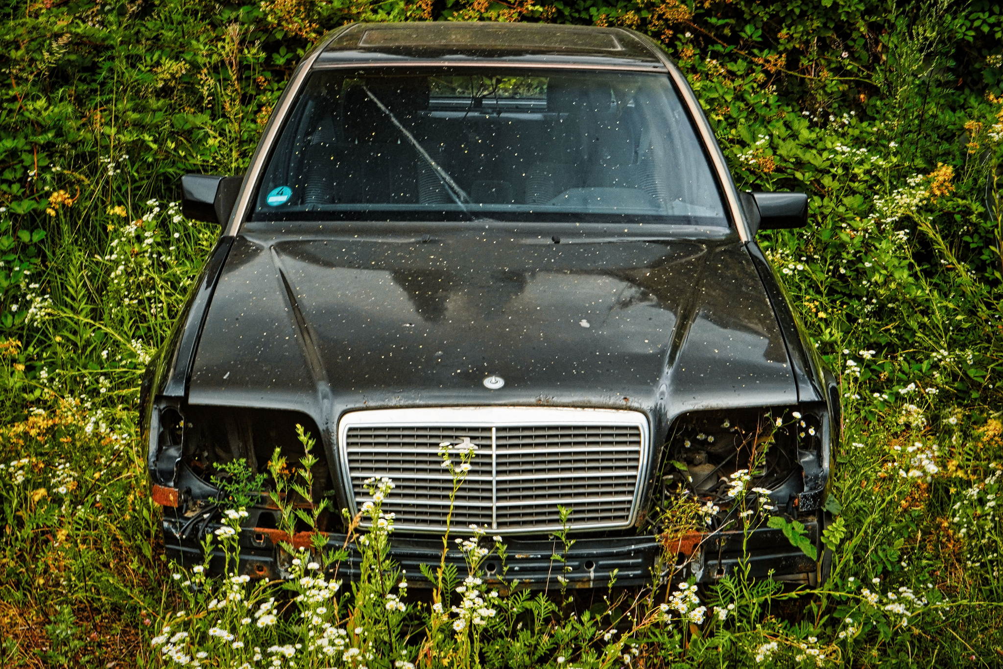 Luxusschrott 50780734262 o