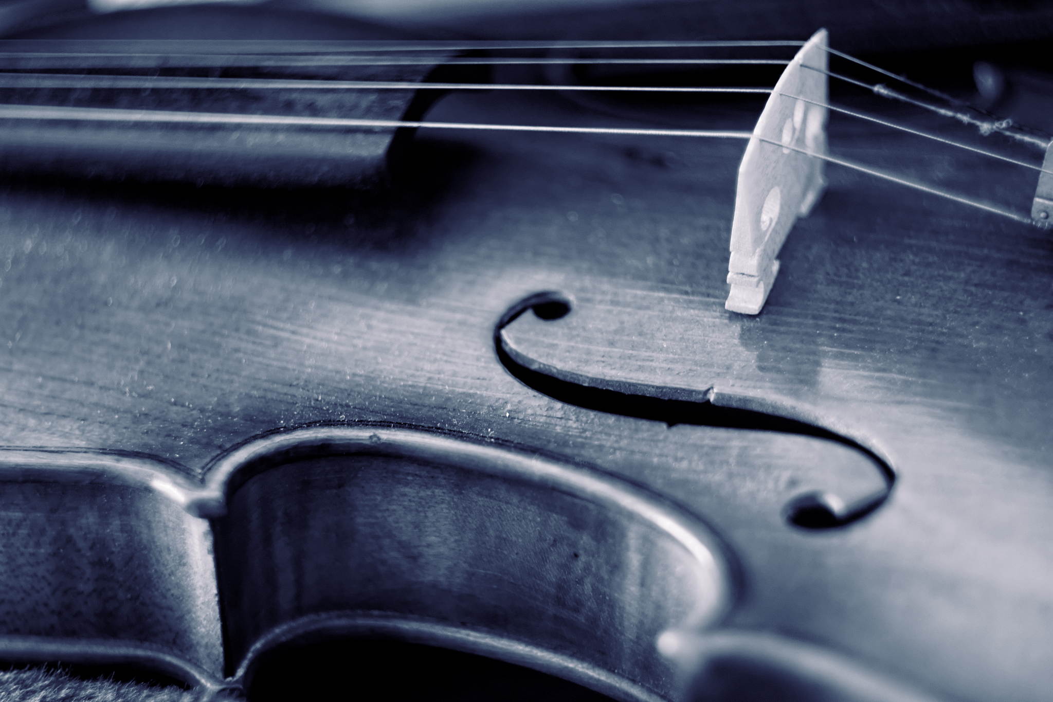 Musik polar 16044251652 o