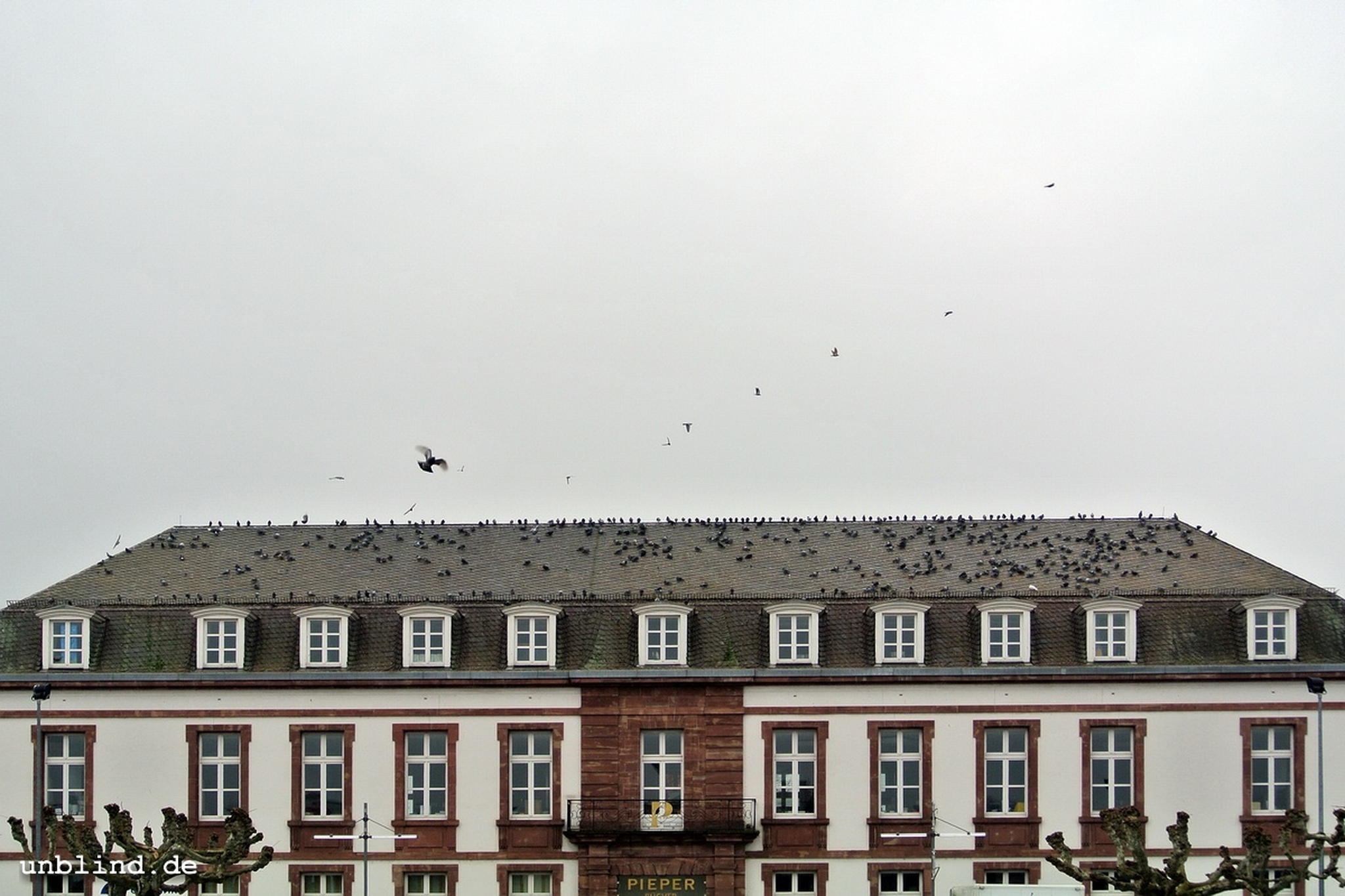 Nomen est omen 8511372852 o