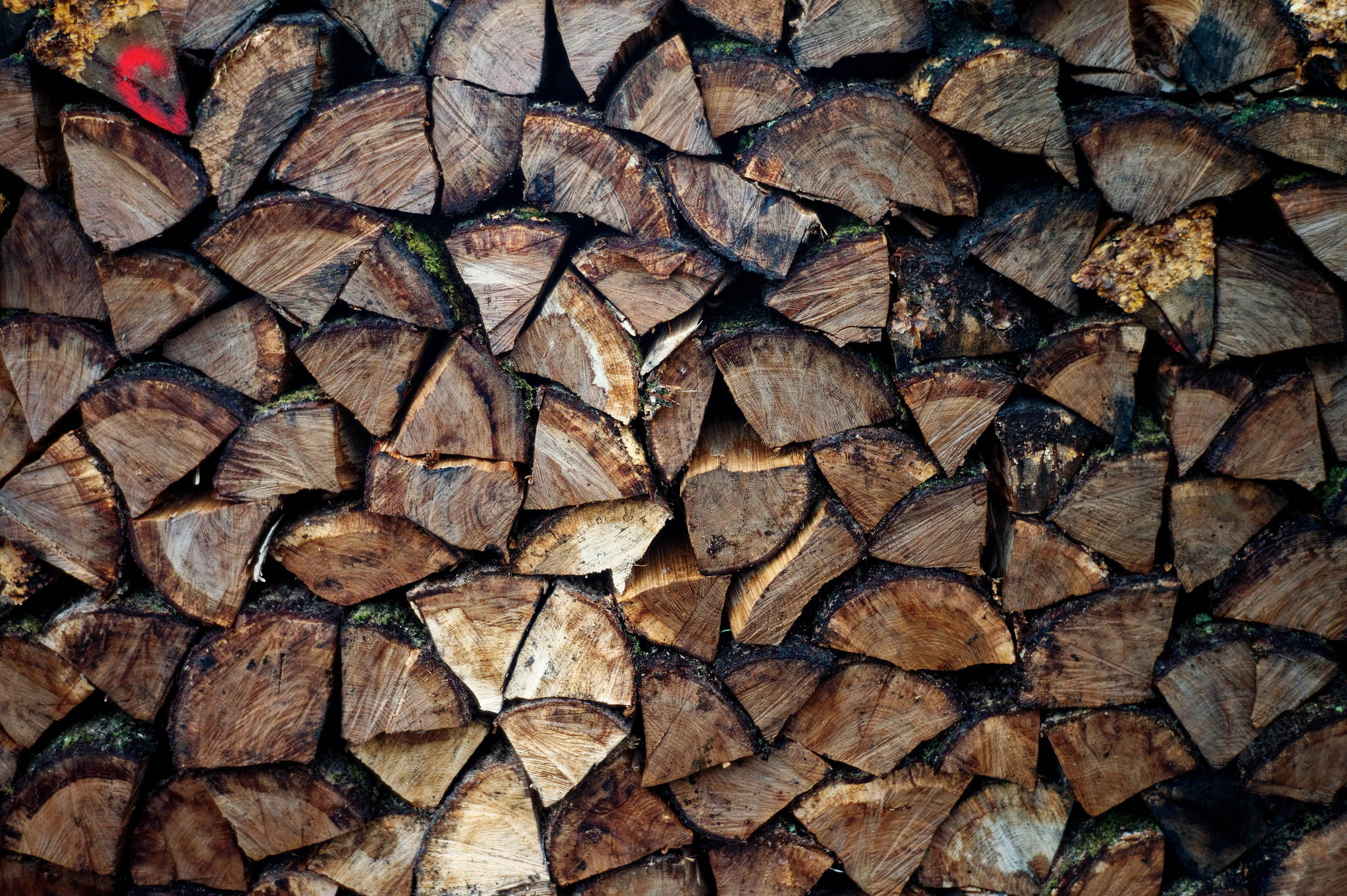 Ordnung muss sein 49632732028 o