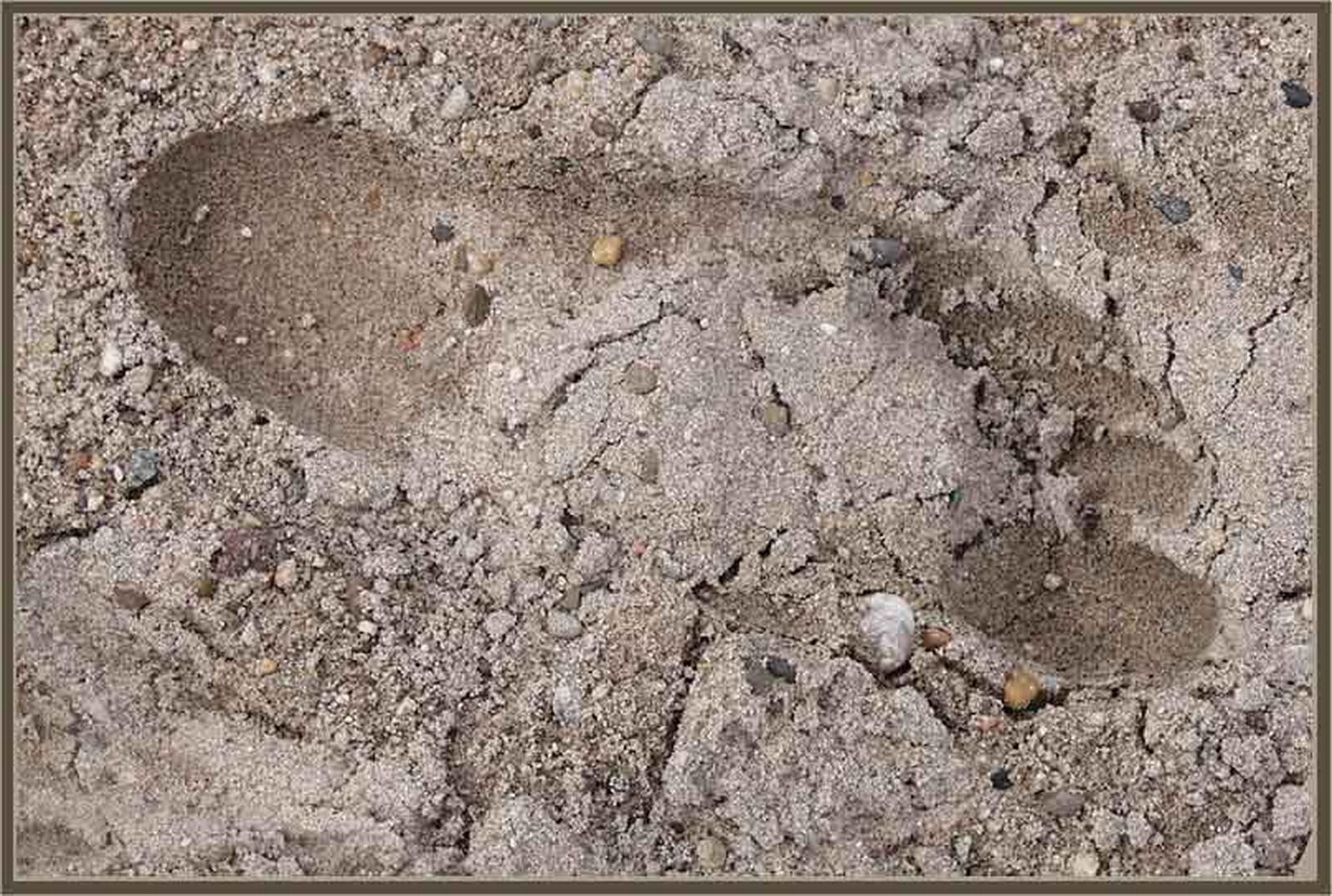 Wo gehts zum strand 6013685512 o