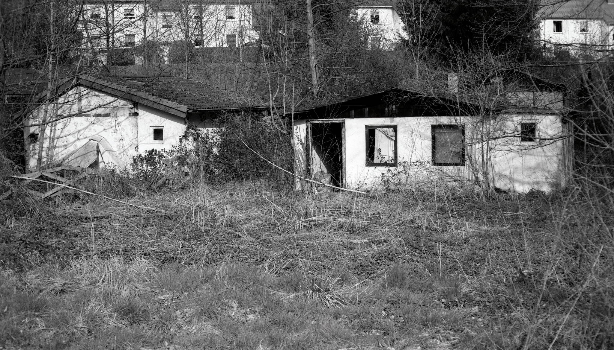 Lost leica m6 agfa pan 25 33722848028 o