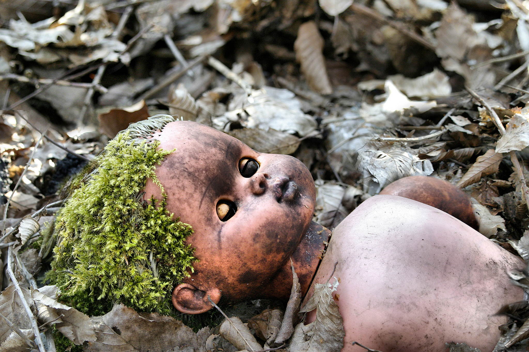 Symbiose 6013145771 o