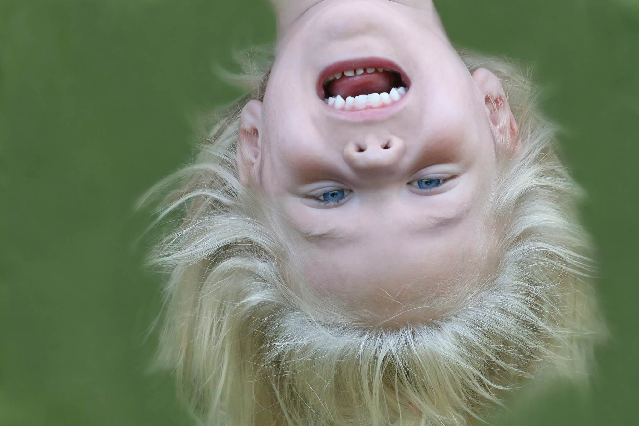 Kuckuck 18618701800 o