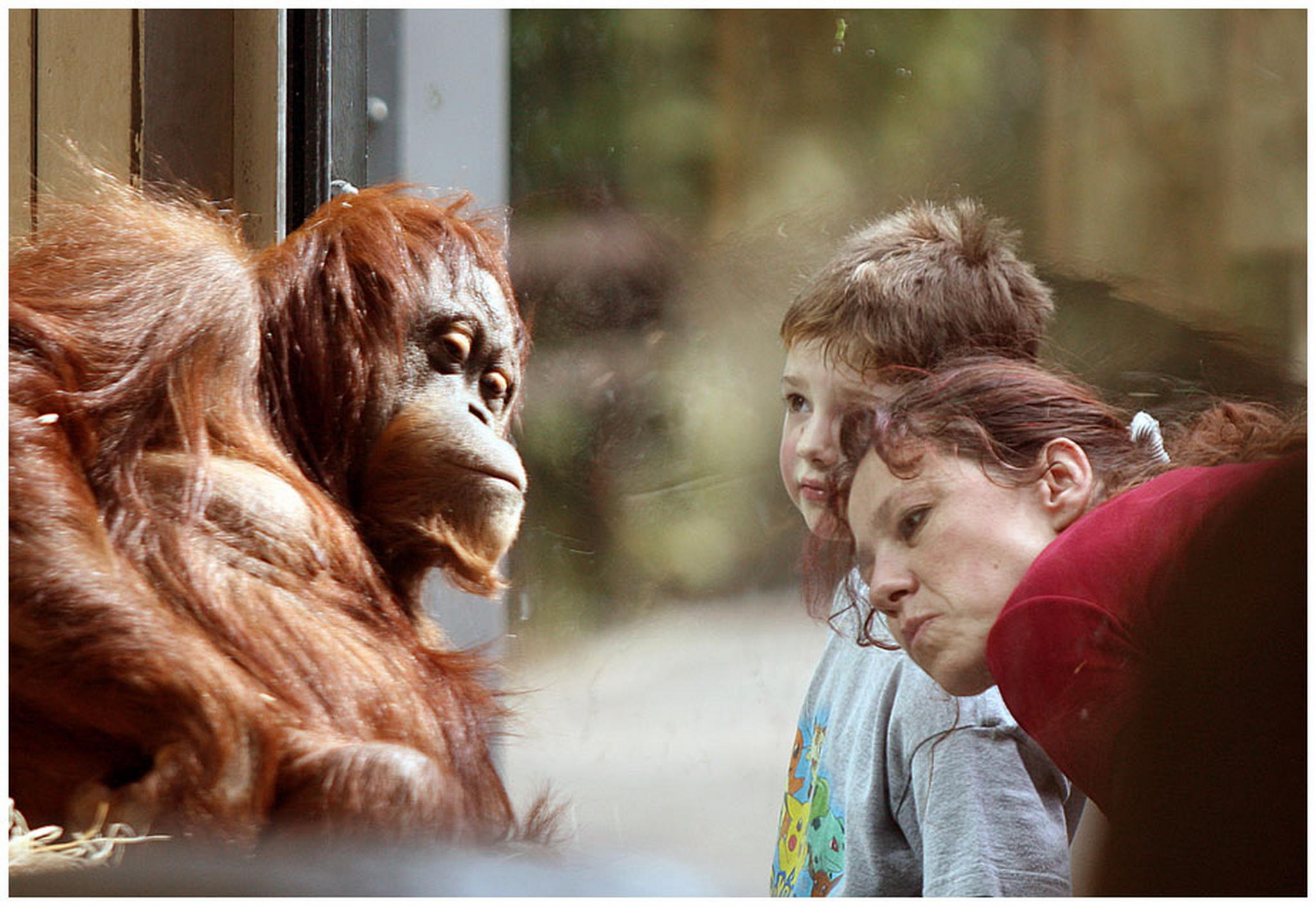 Verwandschaft 6011082138 o