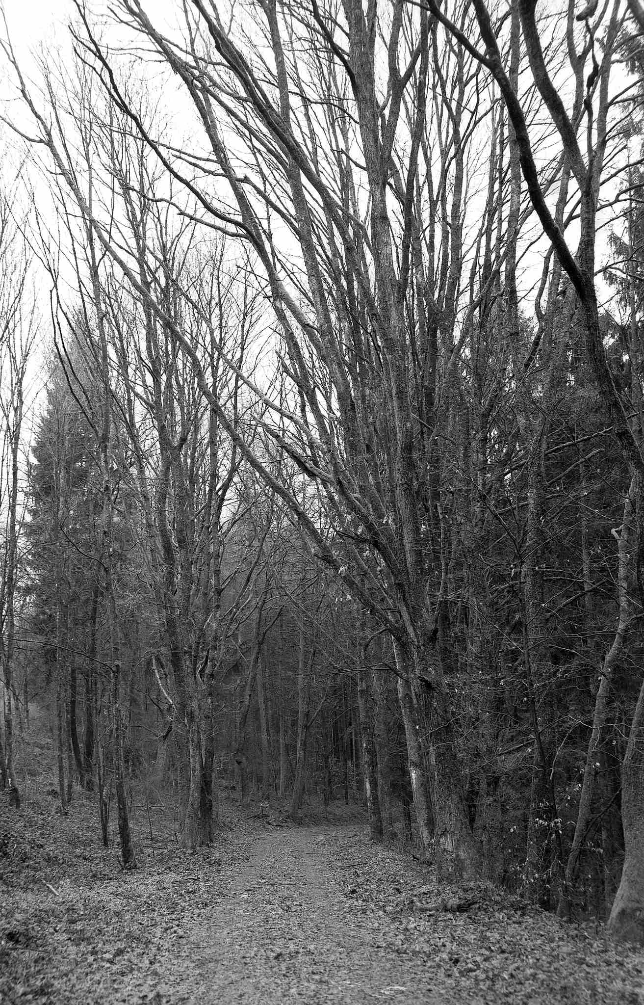 2017 03 19 gw690 04 32721487503 o