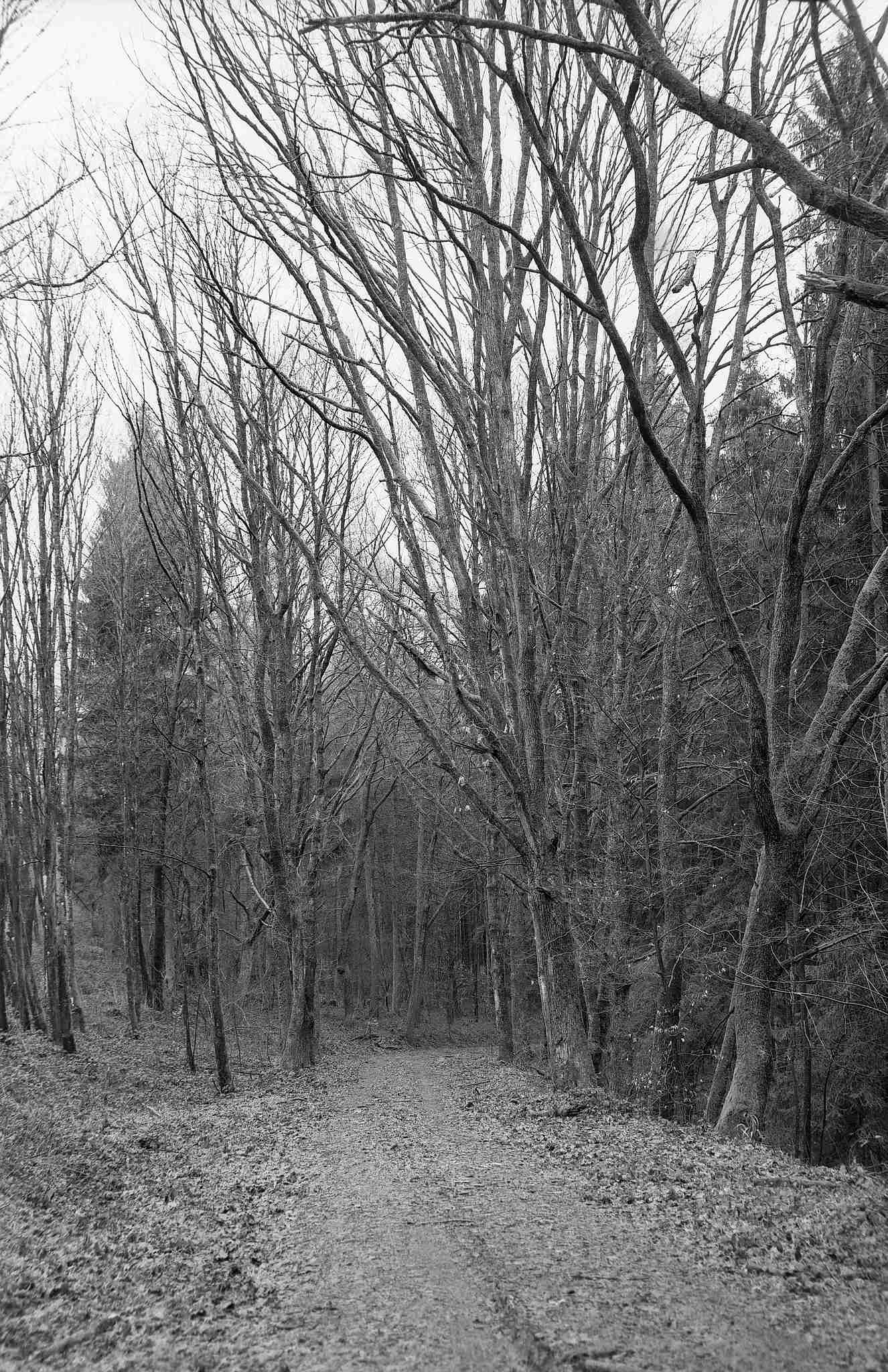 2017 03 19 gw690 05 33536159935 o