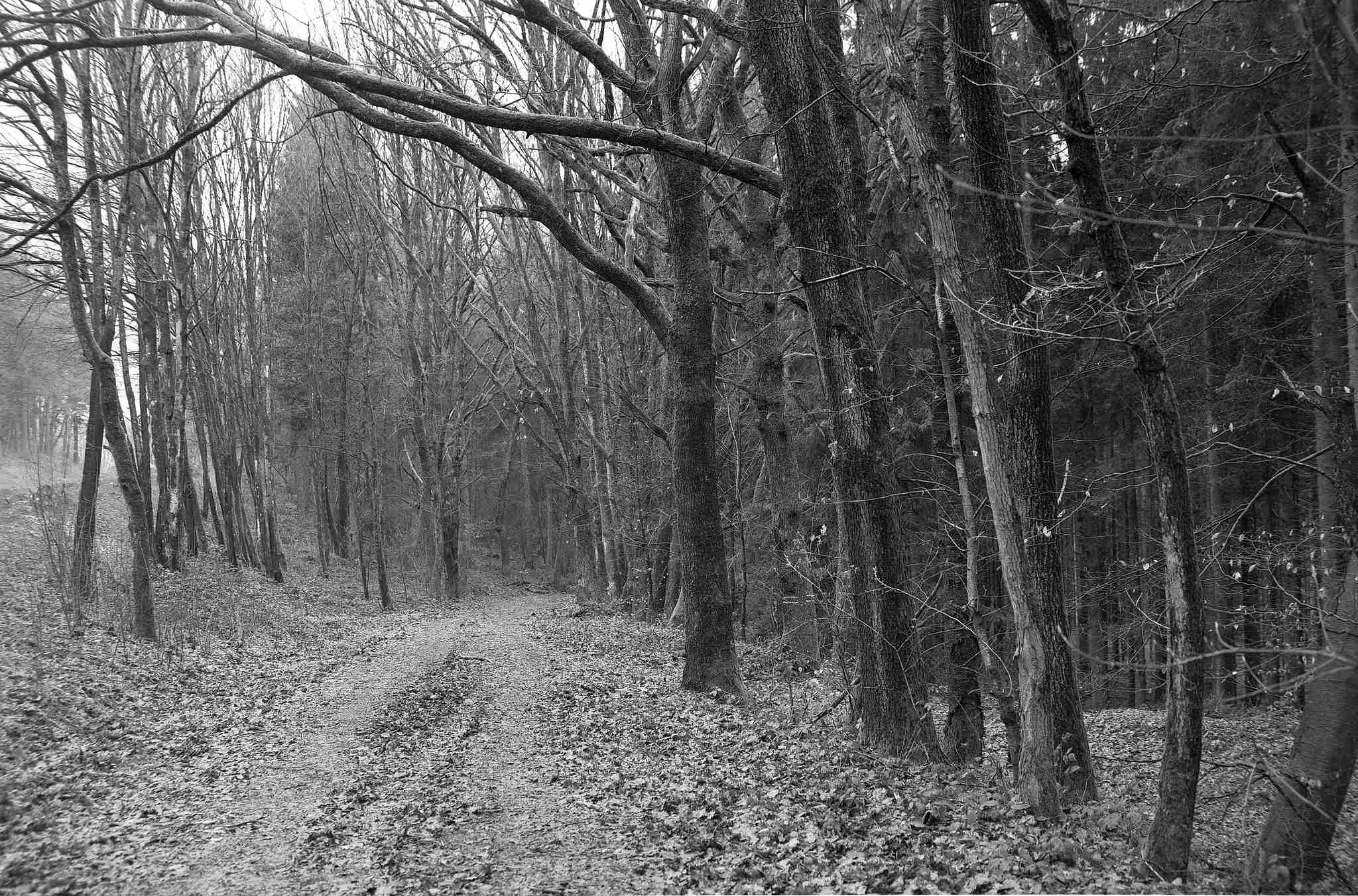 2017 03 19 gw690 06 33379042142 o