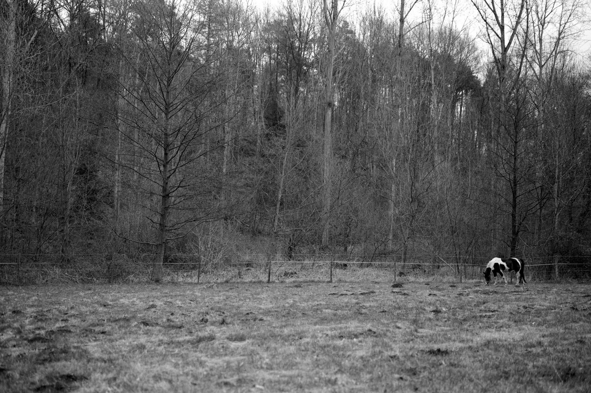 2017 03 24 gw690 01 33586073136 o