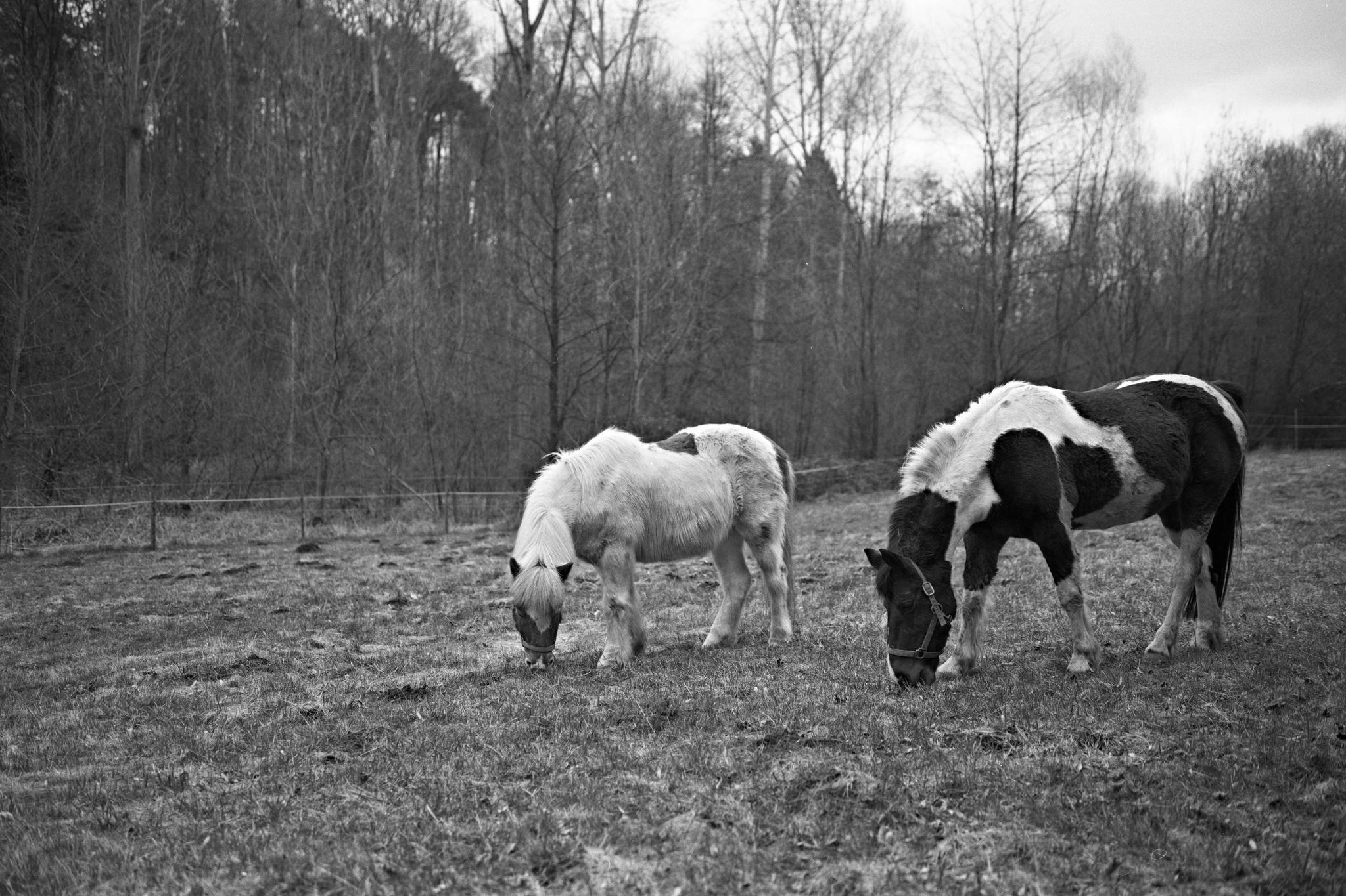 2017 03 24 gw690 04 33470543252 o