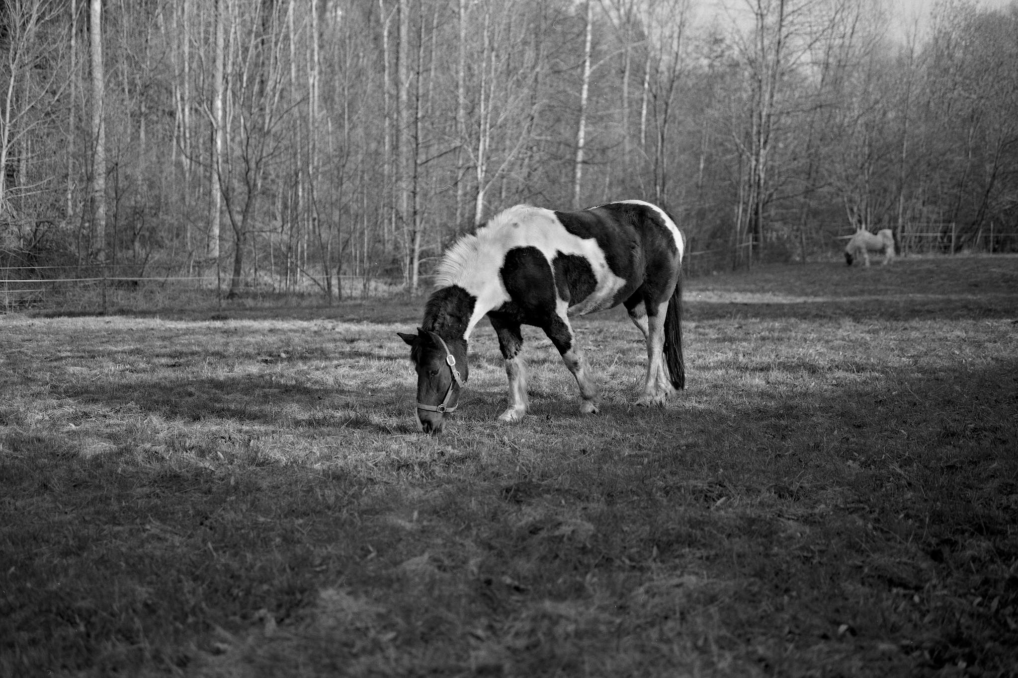 2017 03 24 gw690 05 32784302394 o