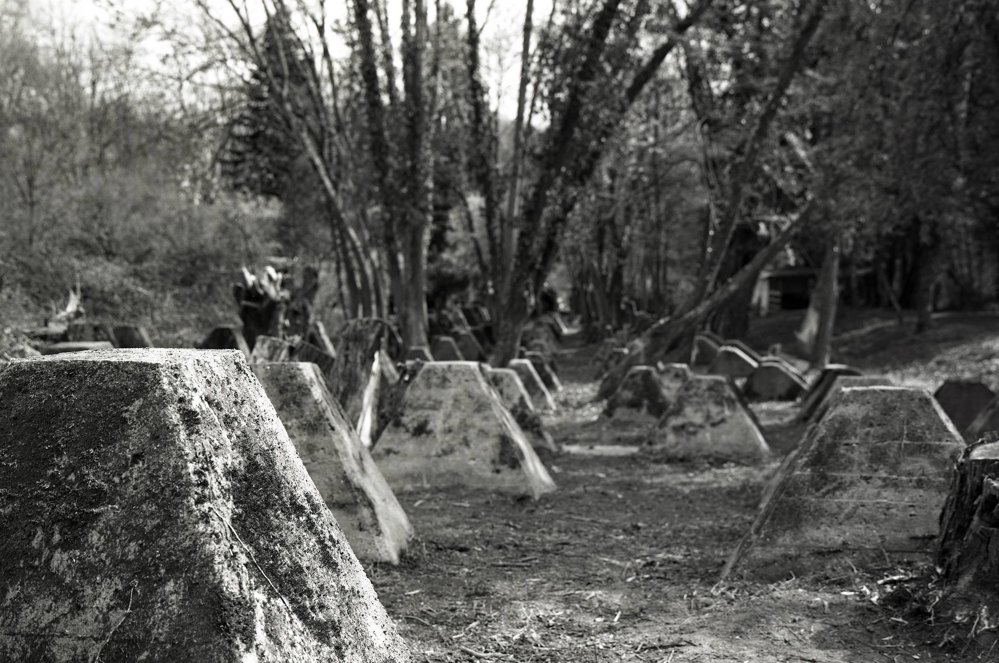 2017 04 02 hckerlinie 01 33779086736 o