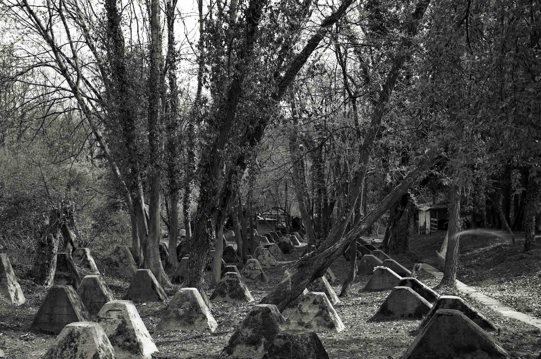 2017 04 02 hckerlinie 02 33435045790 o