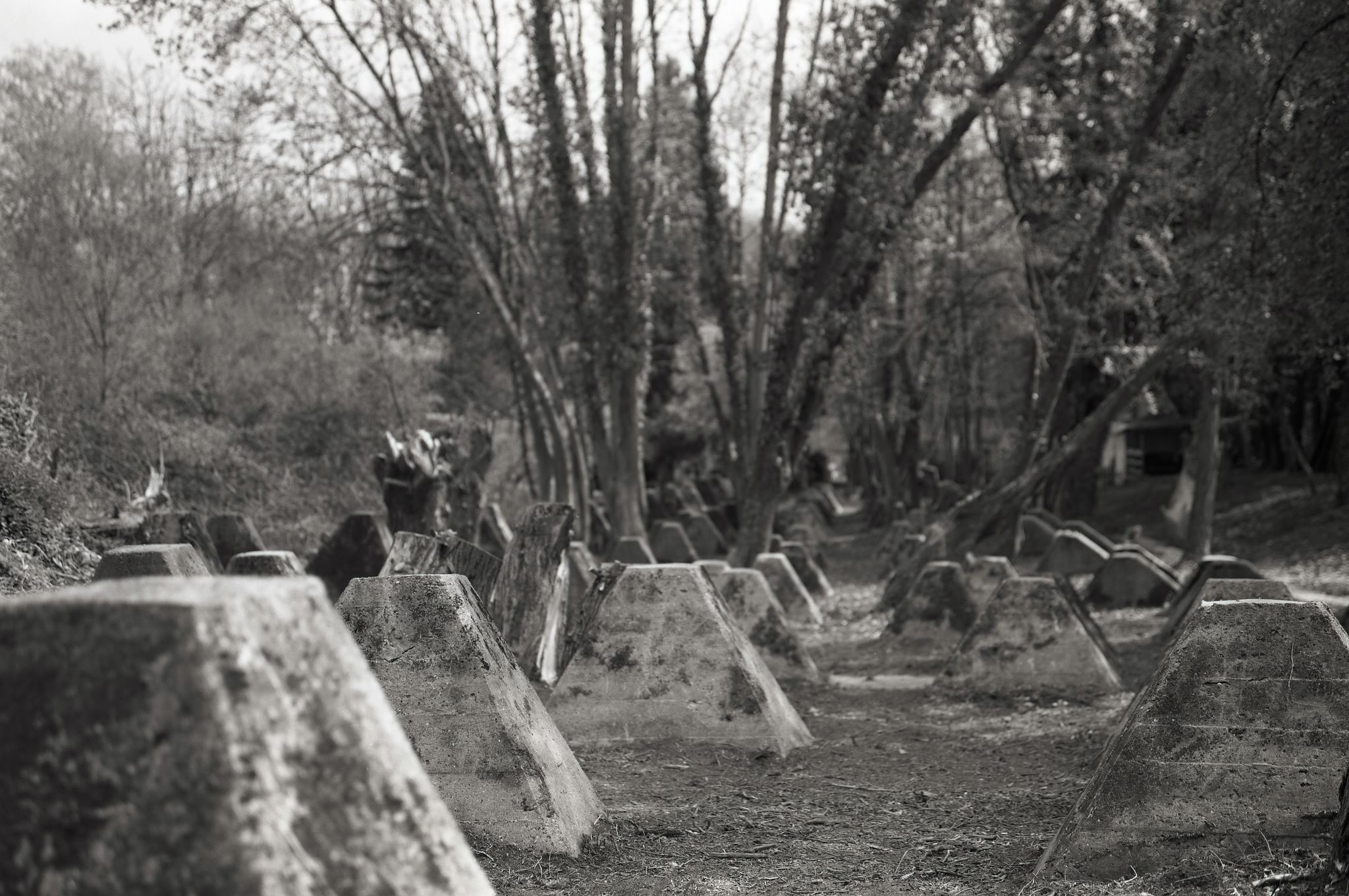 2017 04 02 hckerlinie 05 33779091046 o